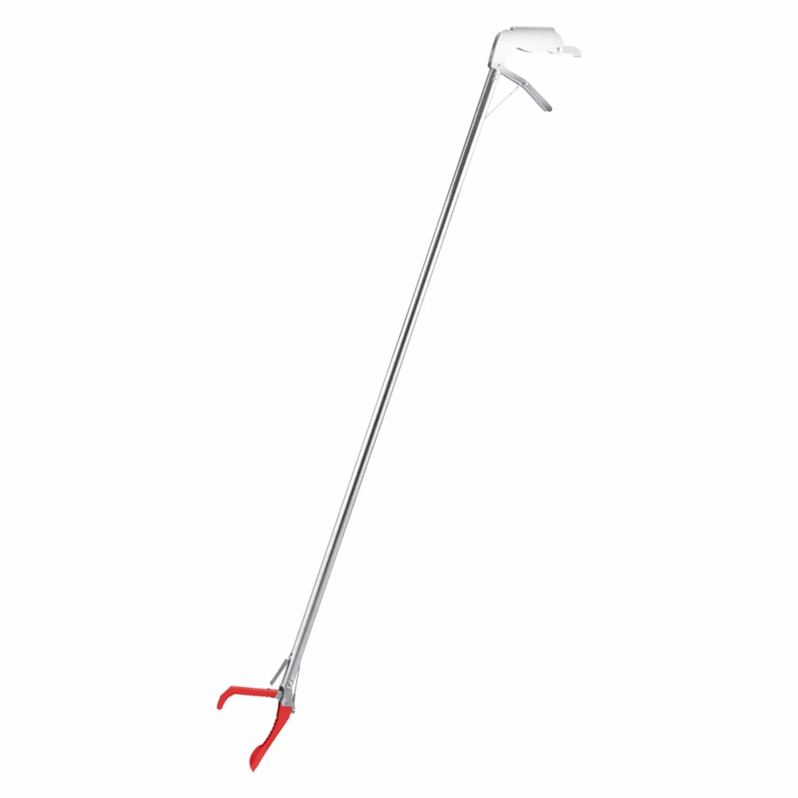 F Fityle para Reptiles, El 120CM