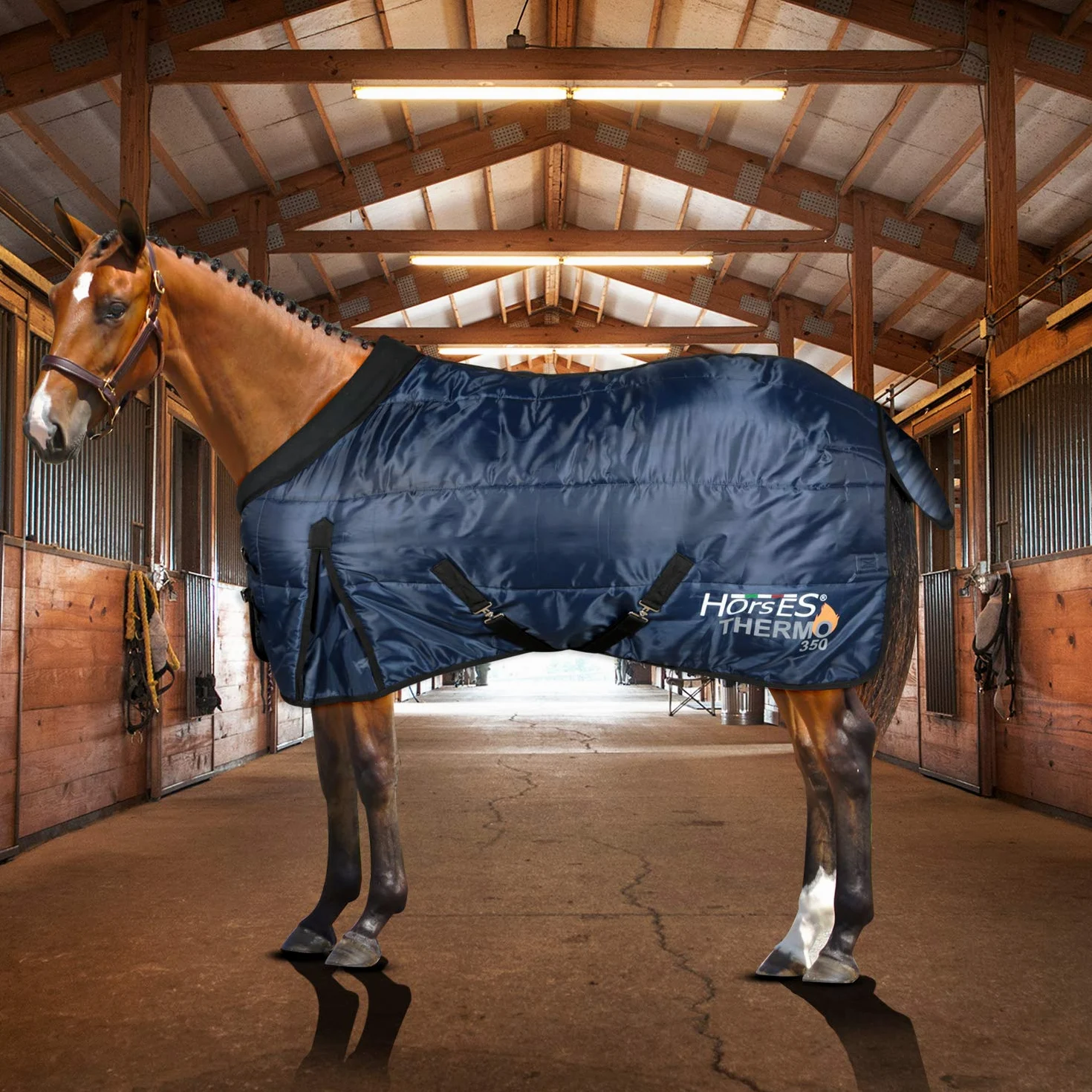 Horses, Manta de Invierno para Caballo Thermo 350g, Acolchada, Suave y Cómoda, con Cuello Redondo y Cubrecola Anti-Rozaduras