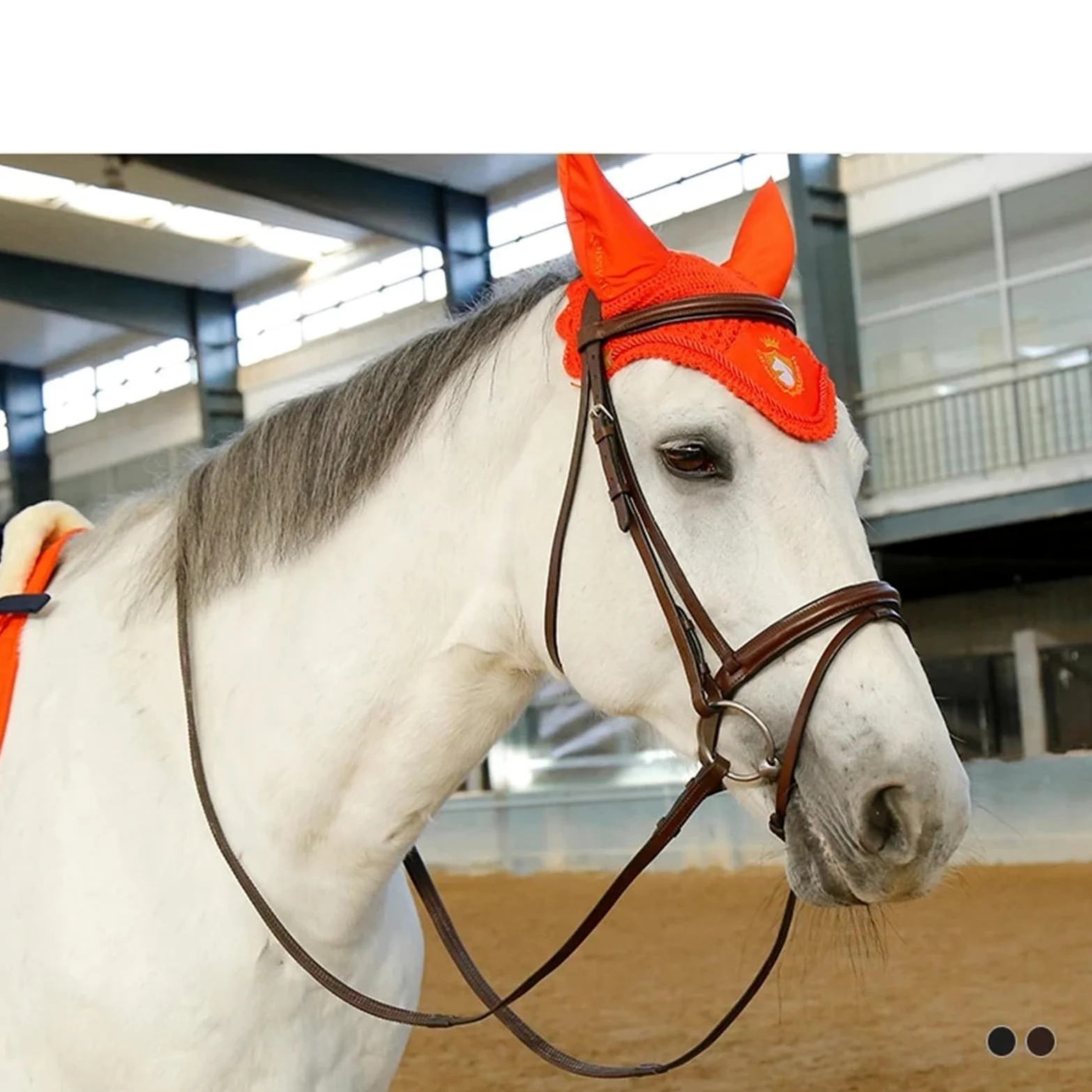 Color del Negro del Cuero del Freno de los Equipos ecuestres del Caballo de Montar con Las riendas de Goma para Caballos(Black M)