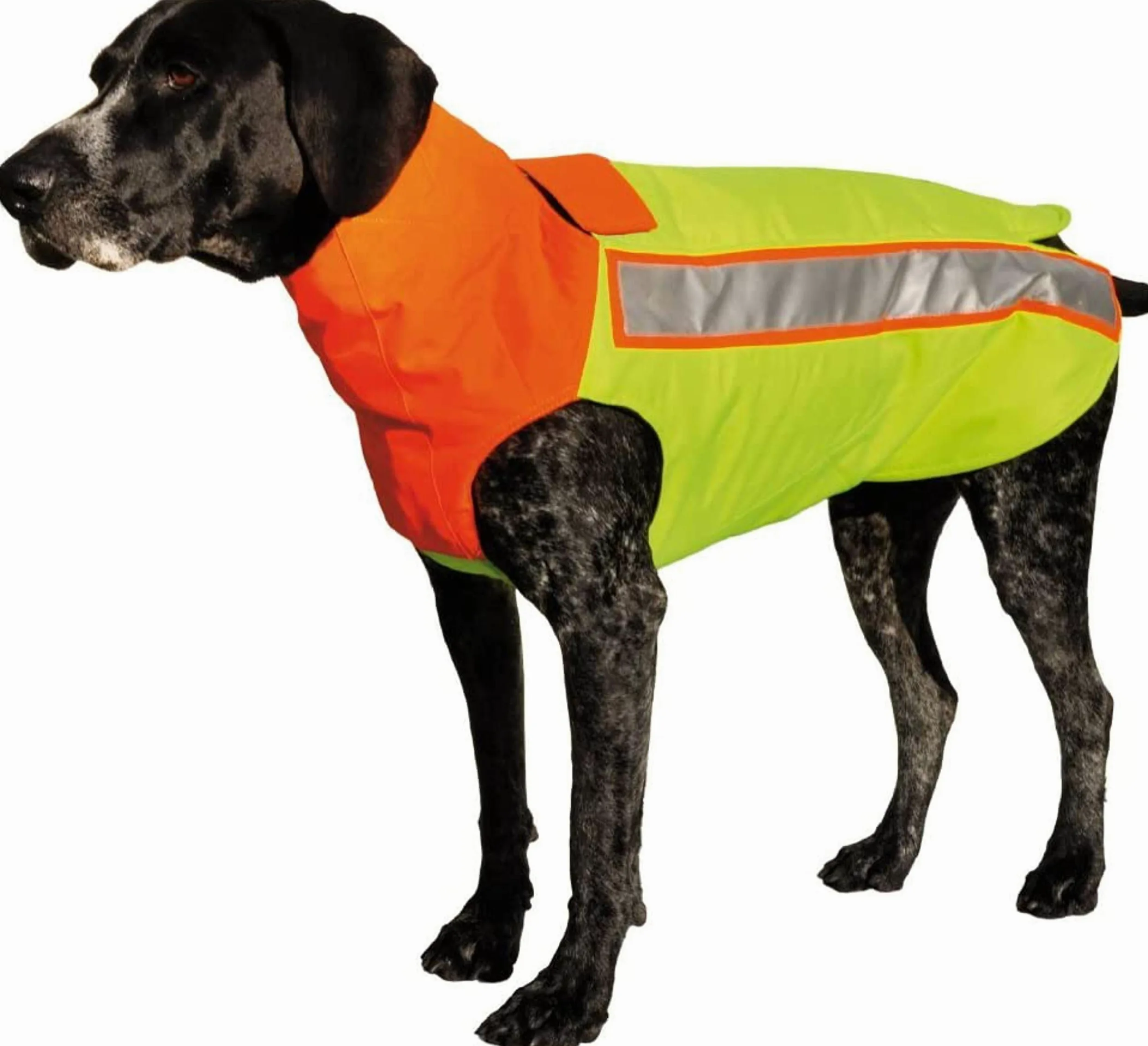 HUBERTUS Chaleco protector para perros con Kevlar, talla L