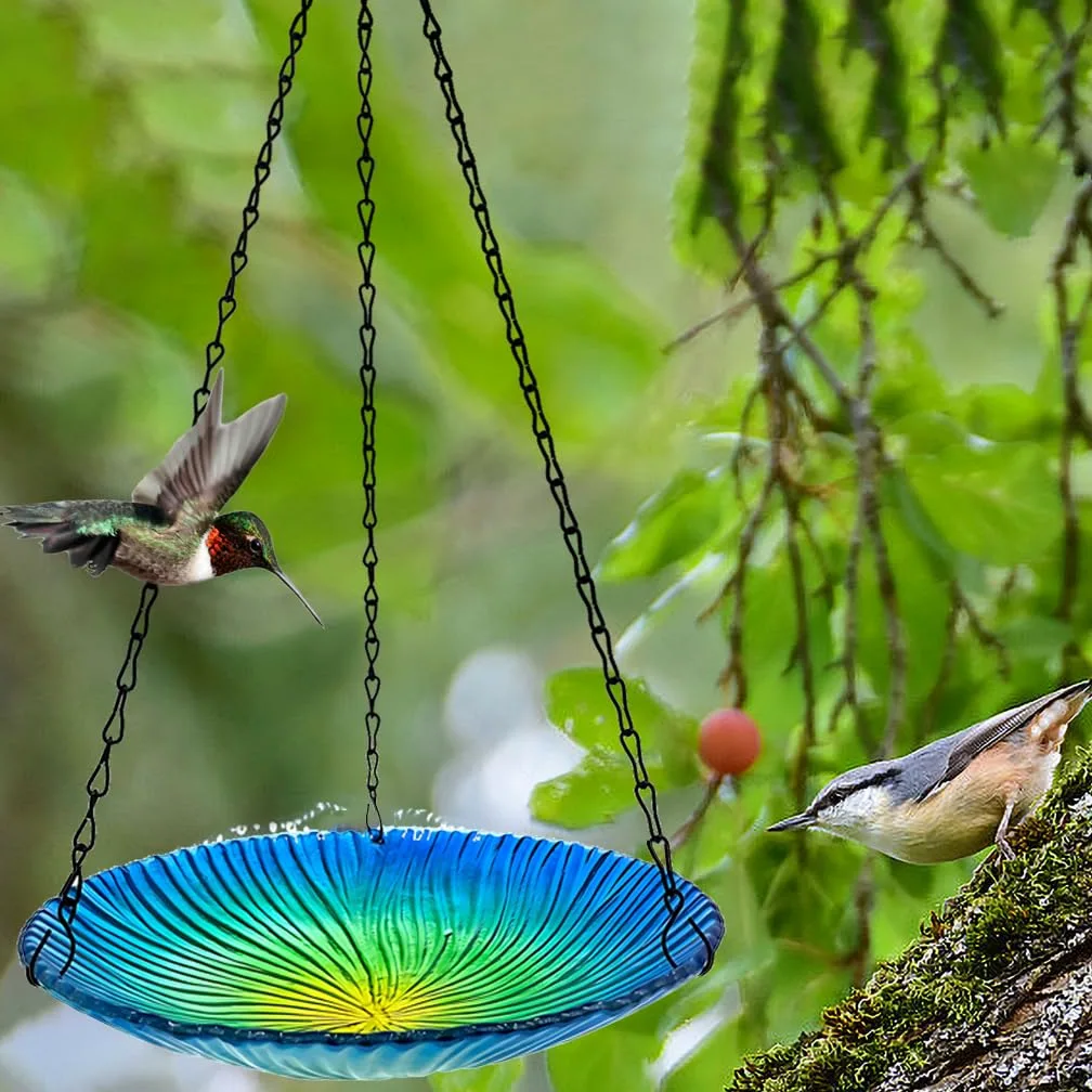 Genérico Comedero Colte De Cristal para Pájaros, Multifuncional para Comida, Agua Y Baño, 26,6 Cm, Decoración para Jardín Y Patio, cho Ligero Y Fácil De Limpiar