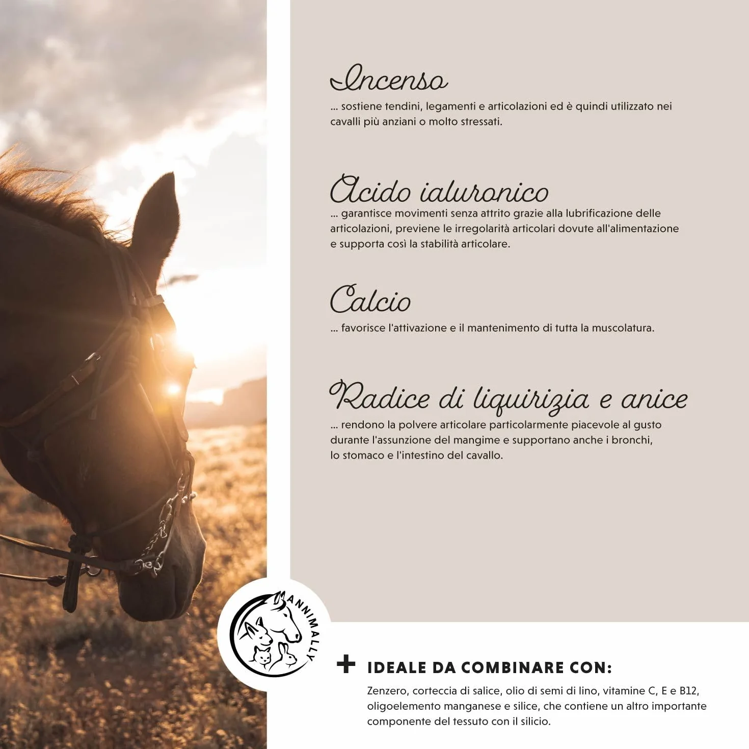 Annimally Polvo para articulaciones de Caballos 850g con Garra del Diablo, MSM Caballos (azufre), glucosamina Caballo, Acido hialurónico, condroitina - Complemento alimenticio Caballos