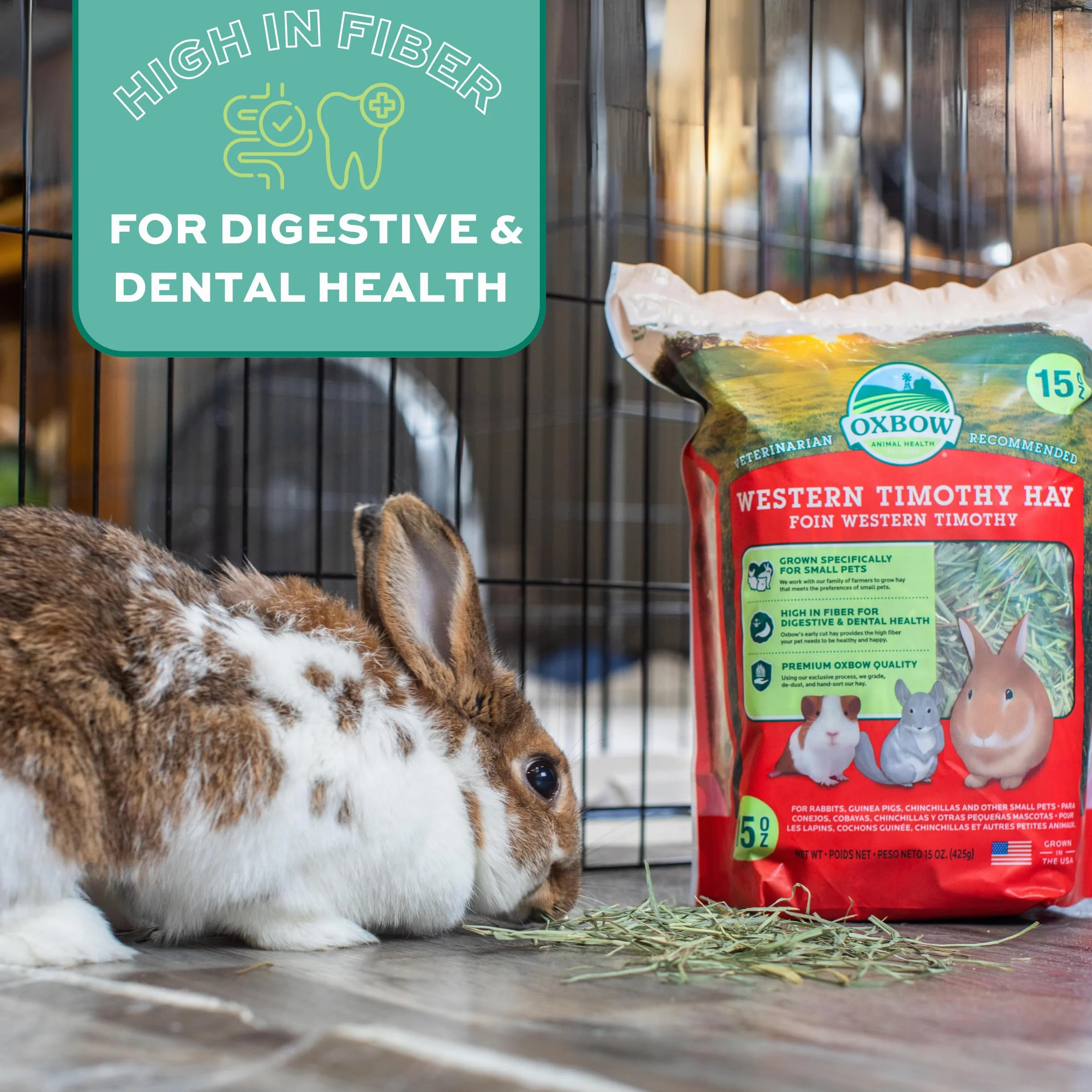 Petlife Oxbow Western Timothy Hay for Small Pet, 1.1 Kg
