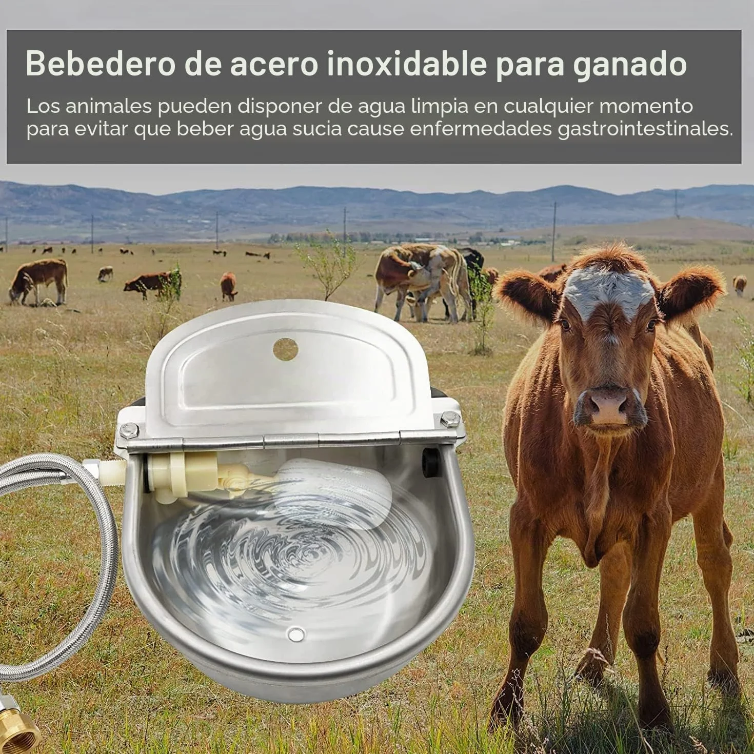 Recipiente AutomáTico Agua Vacas, Bebedero Acero Inoxidable 4 en 1, Utilizado para Ganado Caballo Oveja Bebedero para Perros Herramienta Cría Animales
