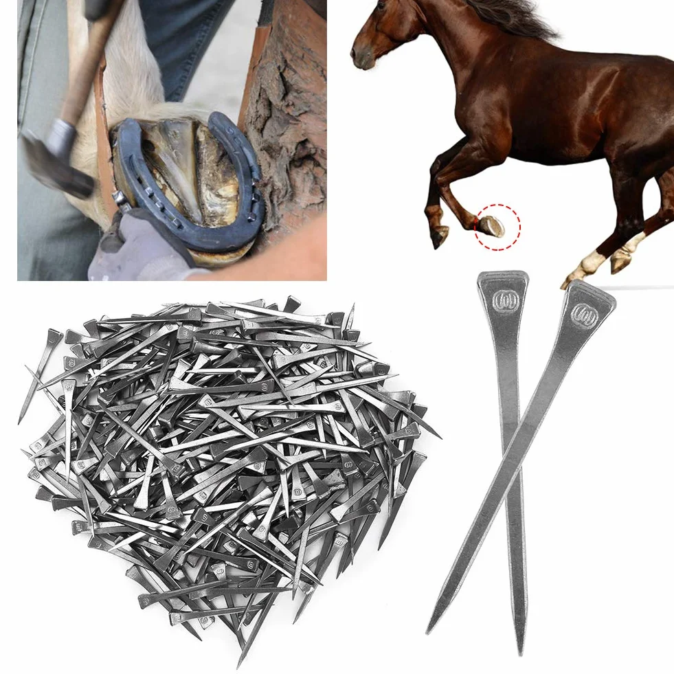 Akozon 250PCS E6 Clavo de Herradura Clavija de Acero para Casco Que Asegura Firmemente el Accesorio de Herramienta de Caballo 250PCS E6