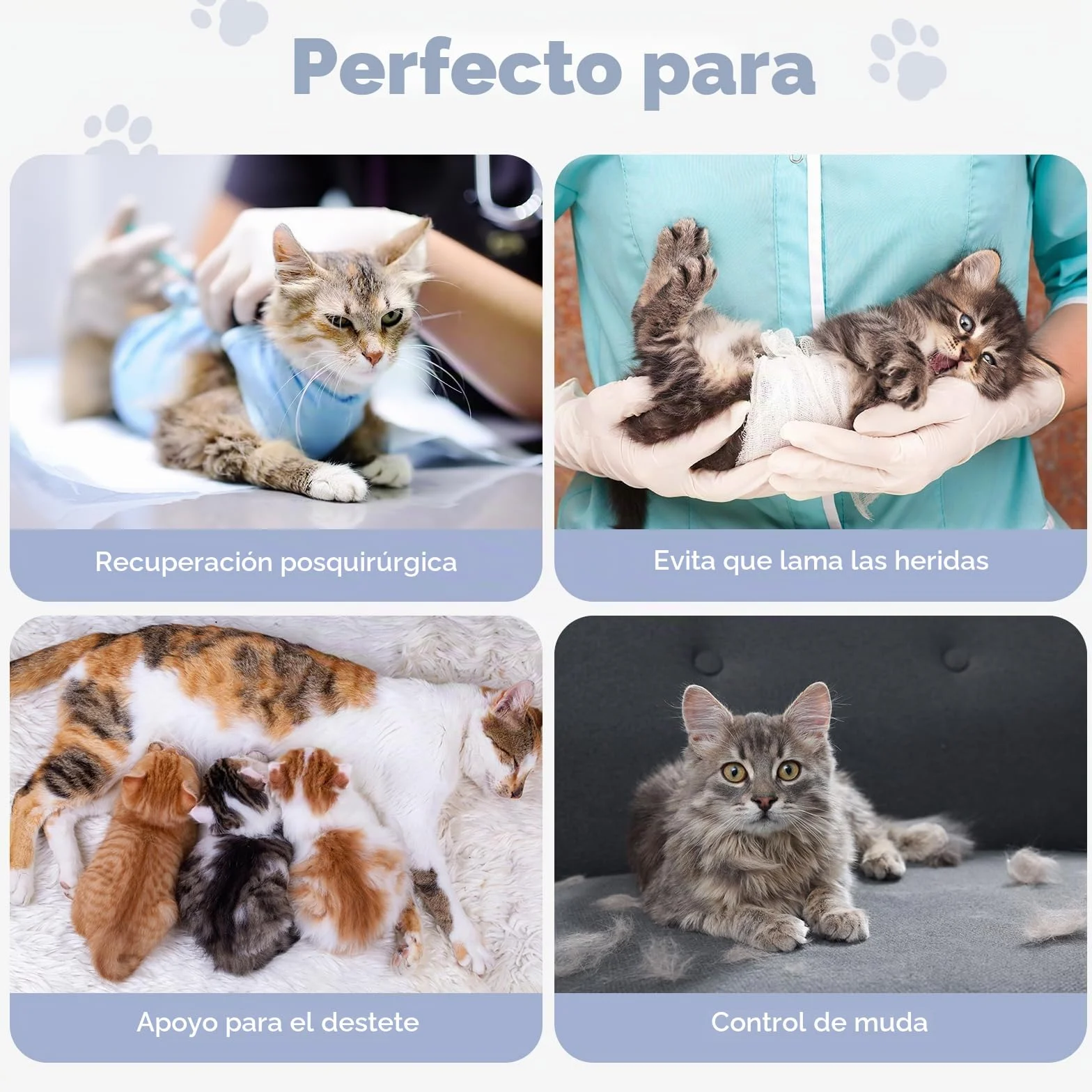 Avont Body De Recuperación para Gatos, Mono Suave para Después De Cirugía, Alternativa Transpirable para Gatas Esterilizadas, Cuidado De Heridas En La Piel, Color Púrpura, Talla S
