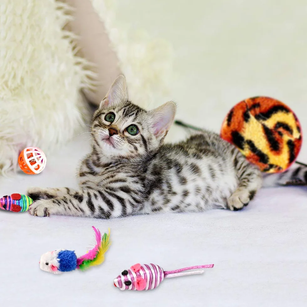 GOLDGE Juguetes para Gatos, Juguete Gato Interactivo, Juegos de Gatos Accesorios, Cat Toys, Cosas para Gato con Plumas, Ratóns, Pelota, Almohada y Juguete Interactivo Varias