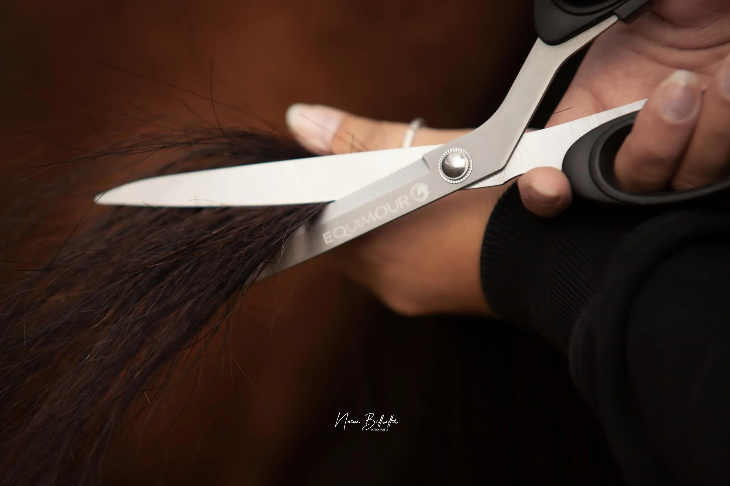 Tijeras para cola – de acero inoxidable afilado | Corte preciso para pelo grueso | Mango ergonómico & funda de cuero vegano | Accesorio profesional para el cuidado equino