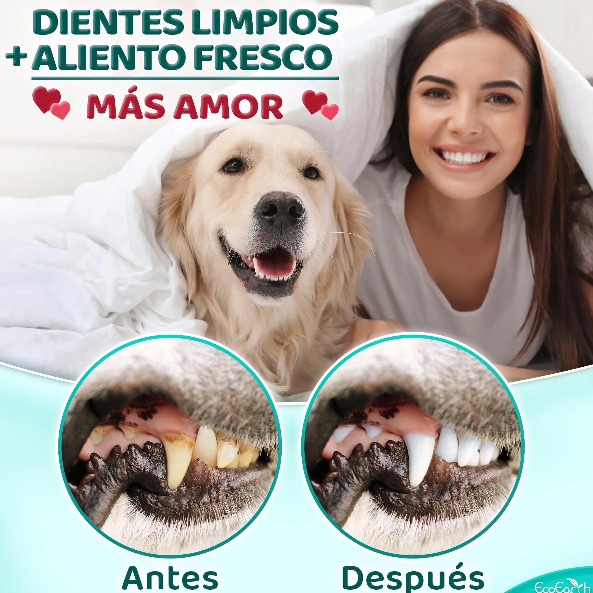 EcoEarth Toallitas de Limpieza Dental Premium para Perros y Gatos - 100 Piezas - Almohadillas para los Dedos para el Cuidado Dental de Mascotas para un Aliento Fresco y una higiene bucal