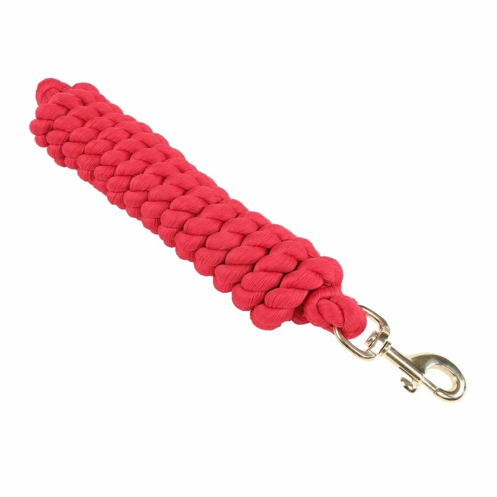 Shires Cuerda de plomo extra larga 440, Sky, 3 m
