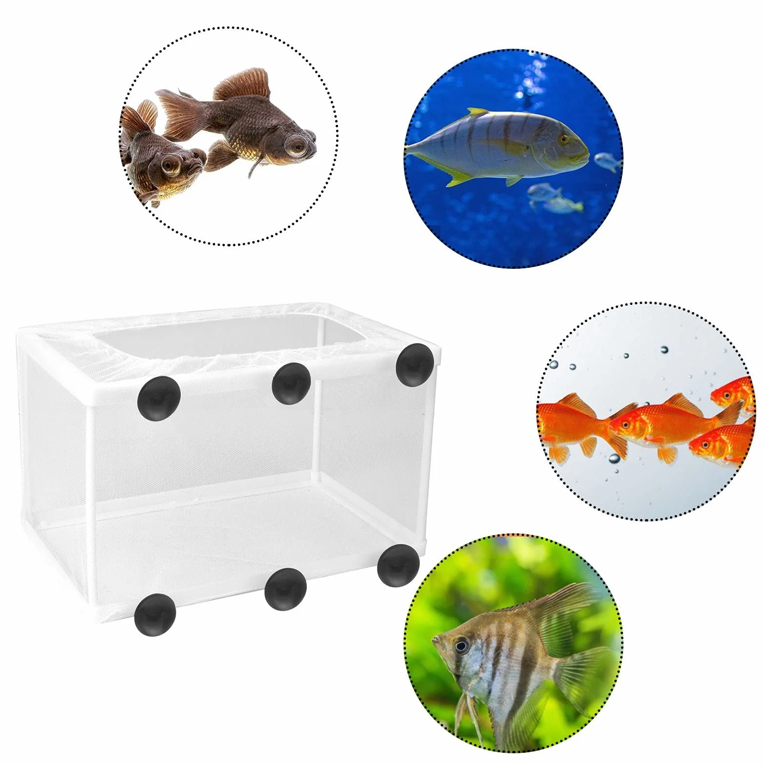 Acuario Criador de Peces, Incubadora de Criaderos, Tanque de Aislamiento Con Ventosas Para Peces Jóvenes, 26,2 * 15 * 15cm