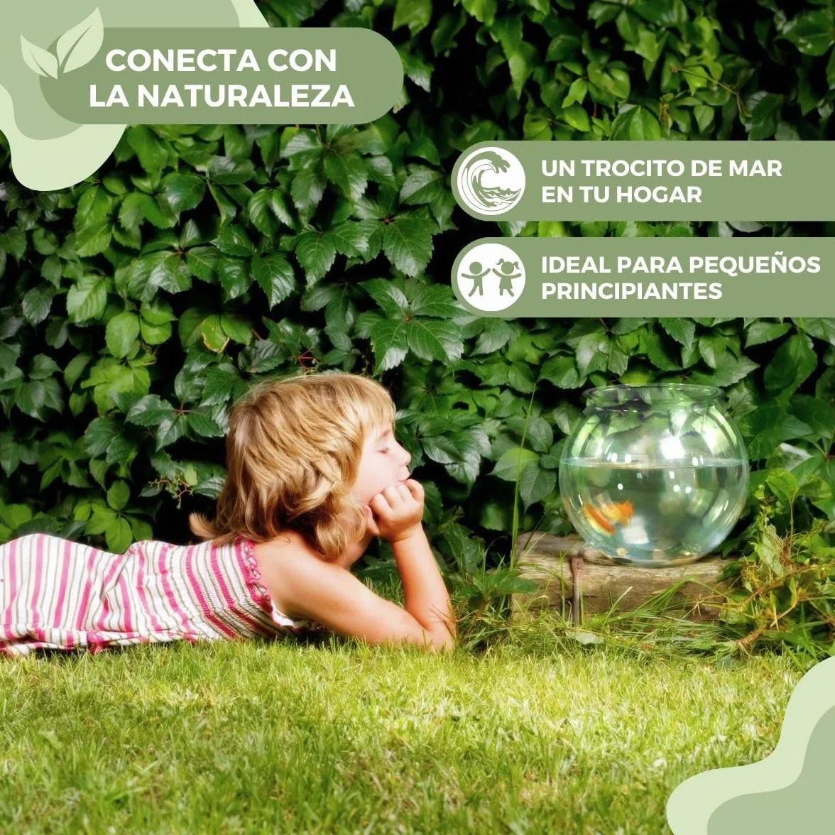 Mobiclinic® Pets, Pecera pequeña, Nemo, 4 litros, Plástico Pet Eco, Redonda, Diseño Transparente, 20x20x17, 5cm, Fácil Limpieza, Resistente, Ideal para decoración del hogar, Hierbas acuáticas
