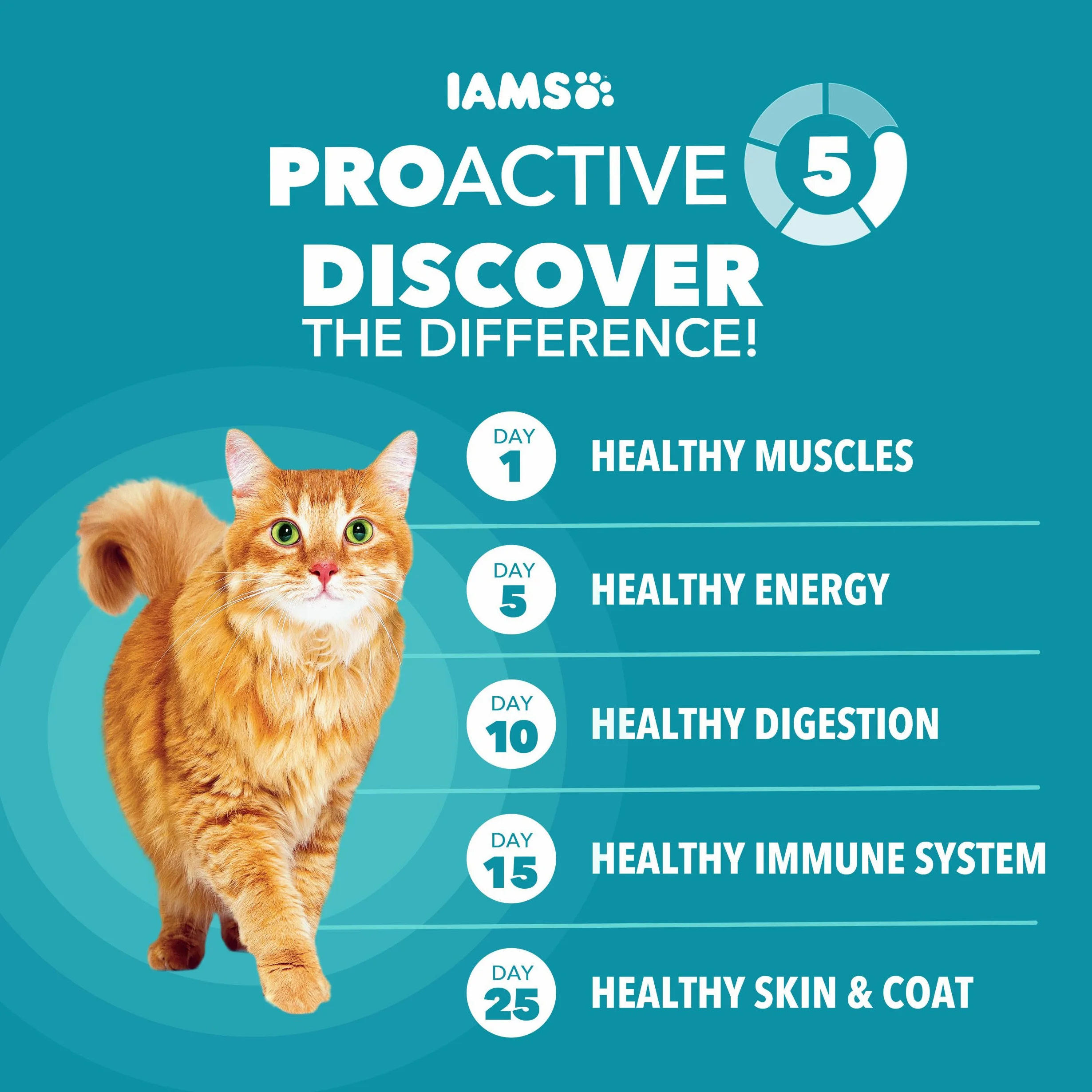 Iams Proactive Health spécialisé Care para adulto de pienso para gatos