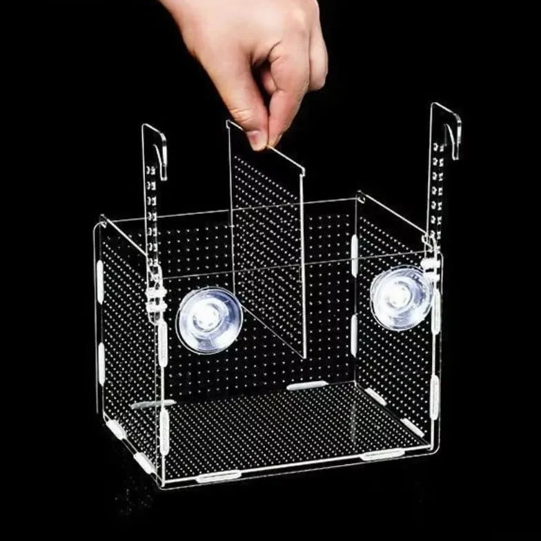 Caja de cría de peces de acrílico transparente para aislamiento y desove de acuarios con diseño flotante y soporte de ventosa 10 x 10 x 10 cm (12 x 12 x 12 cm)
