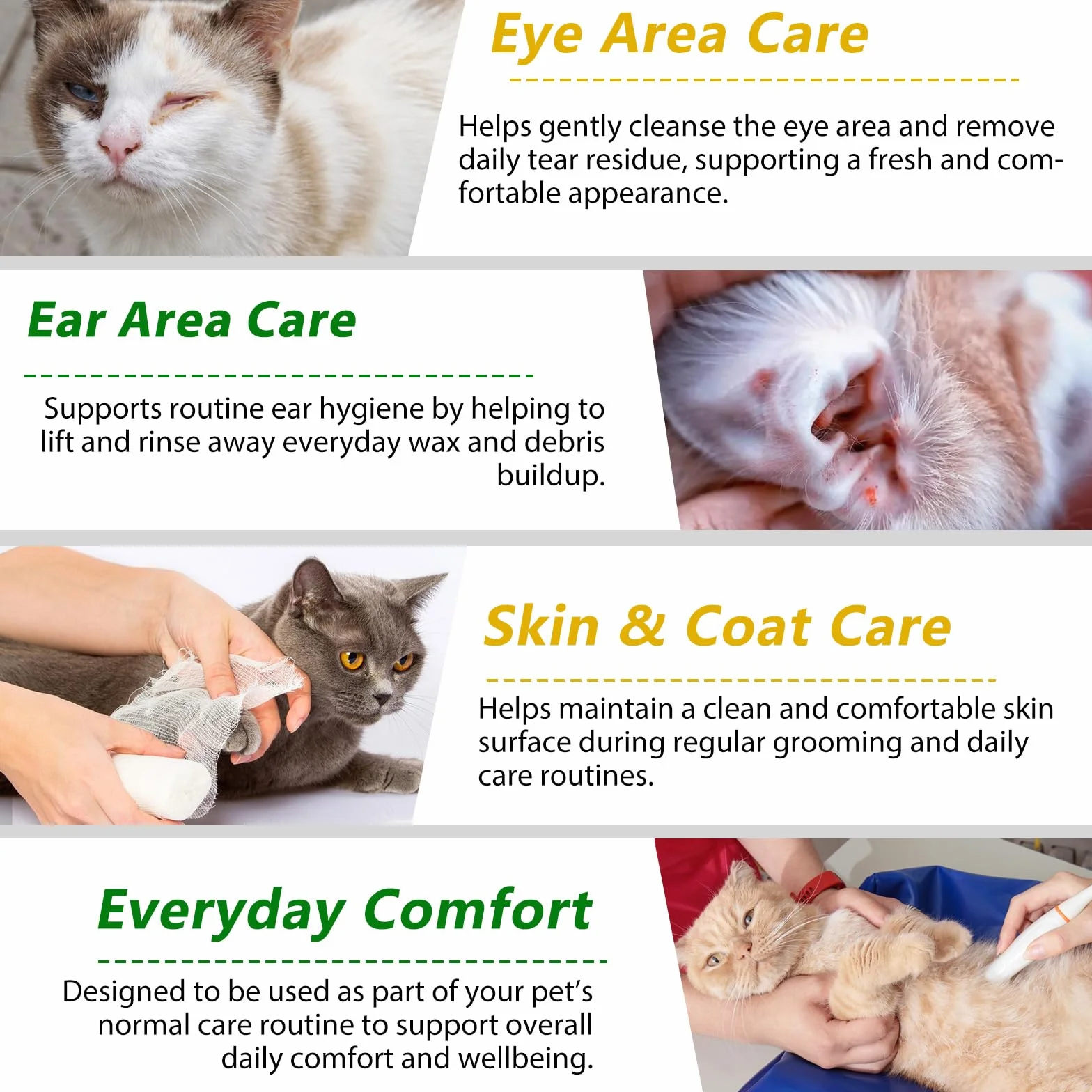 Fórmula Natural Antibacteriana para Gatos 60ml – Apoya el Sistema Inmunológico y Alivia Las Alergias – Alivio del Picor, Problemas de Oídos, Piel y Tracto Urinario – para Todas Las Razas y Edades