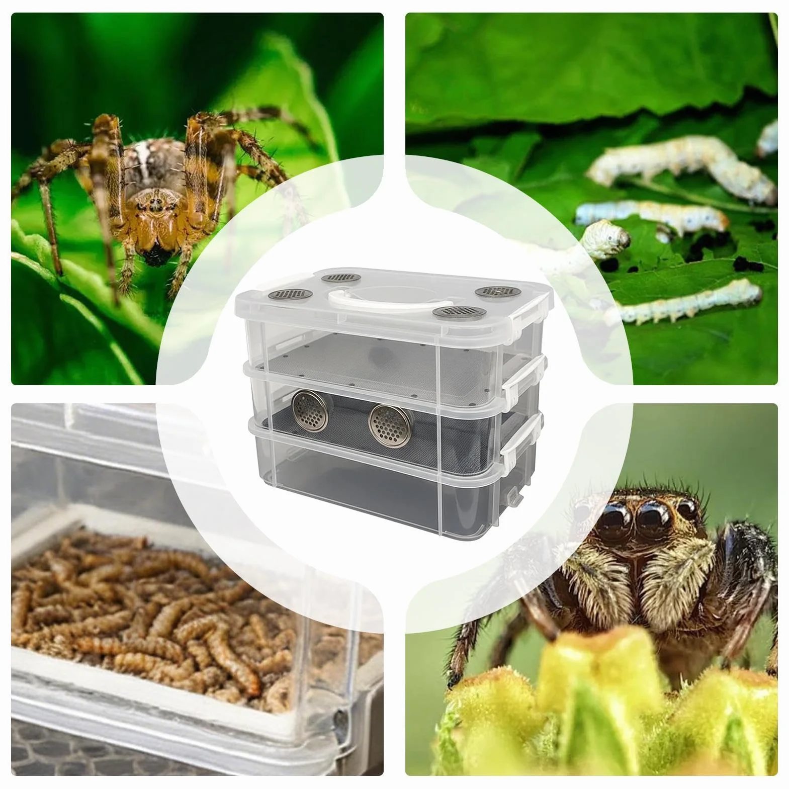 Kit De Cría Harina - Y Criadero Resistente A Los Olores | Contenedores de Cría Tenebrios | para La Alimentación De Reptiles, Lombrices Y Otros Animales En El Hogar Y En La Clase