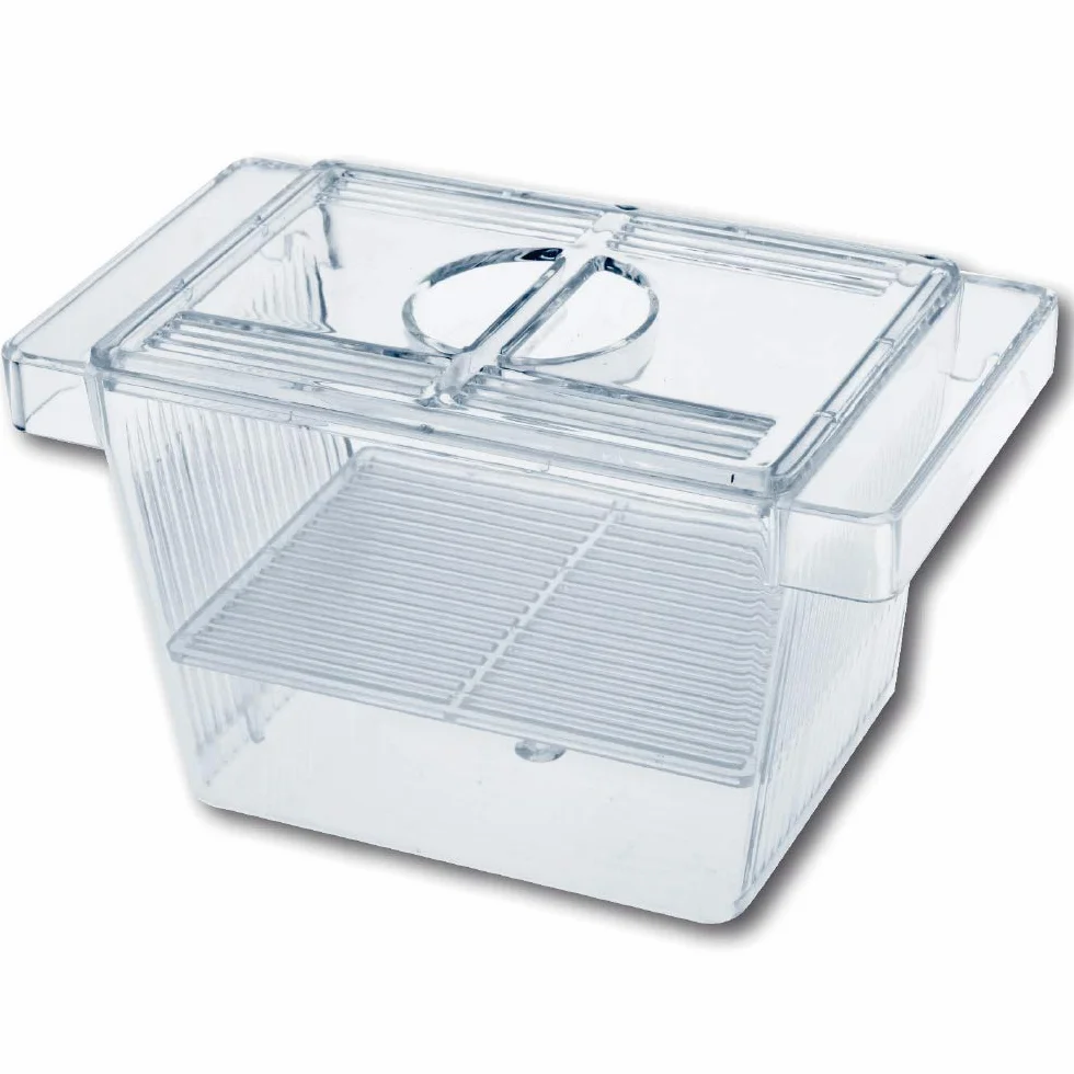 Amtra 3 En 1 Acuario Sala De Parto Con Tapa, Flotante, Transparente, 12X6X6 Cm