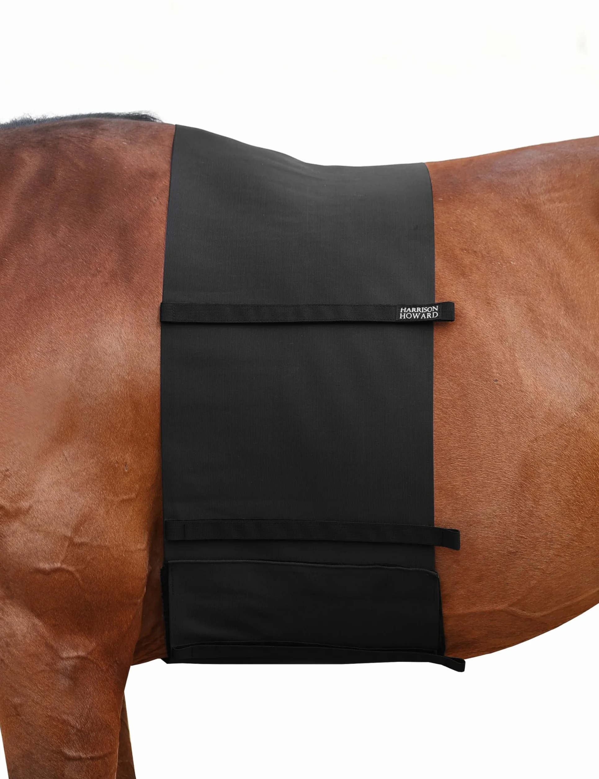 Harrison Howard Protector para el vientre del caballo del vendaje del cuerpo del vendaje del estímulo de la marca del protector