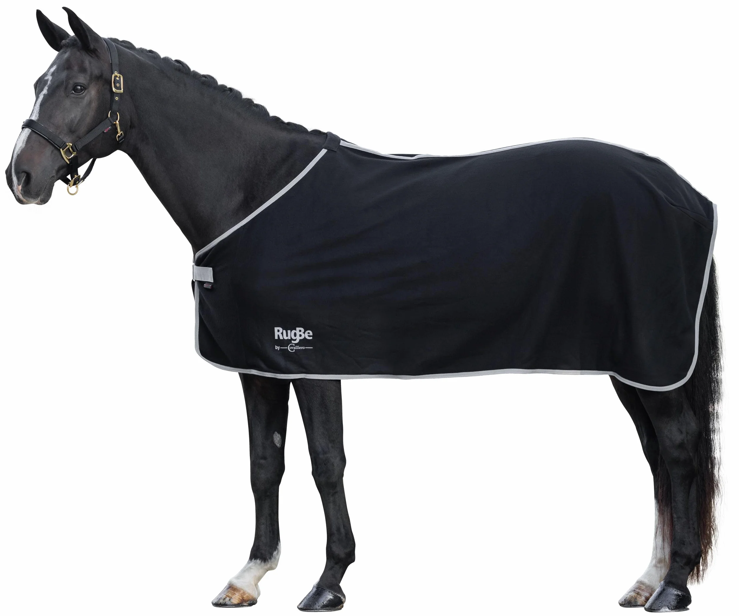 Covalliero RugBe 3211608 Economic - Manta Polar (165 cm), Color Negro