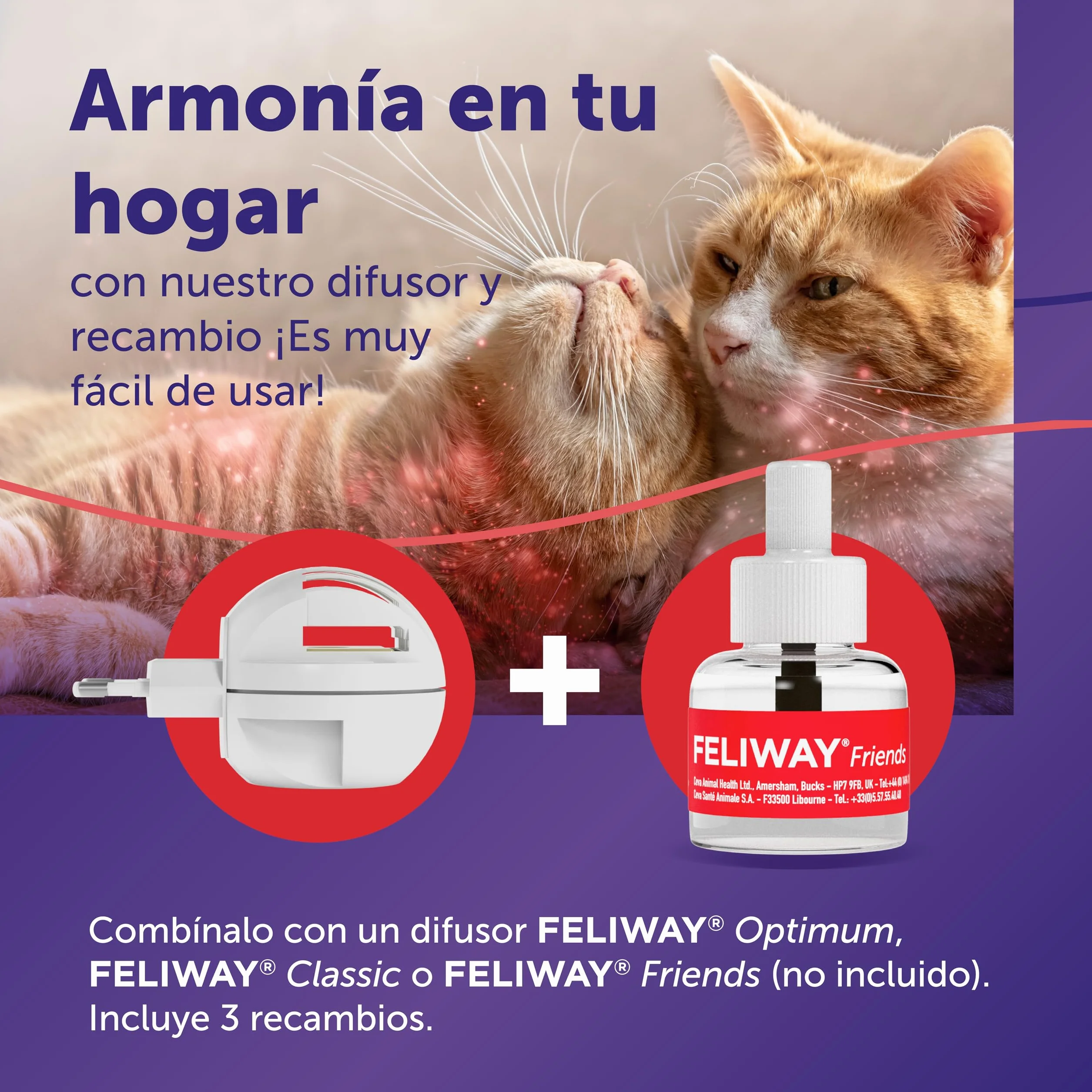 FELIWAY Friends - Pack Ahorro 3 recambios para 90 días (3x48ml) - Ayuda a crear armonía y a reducir conflictos entre gatos que viven juntos. Recomendado por veterinarios. Mejora la convivencia.