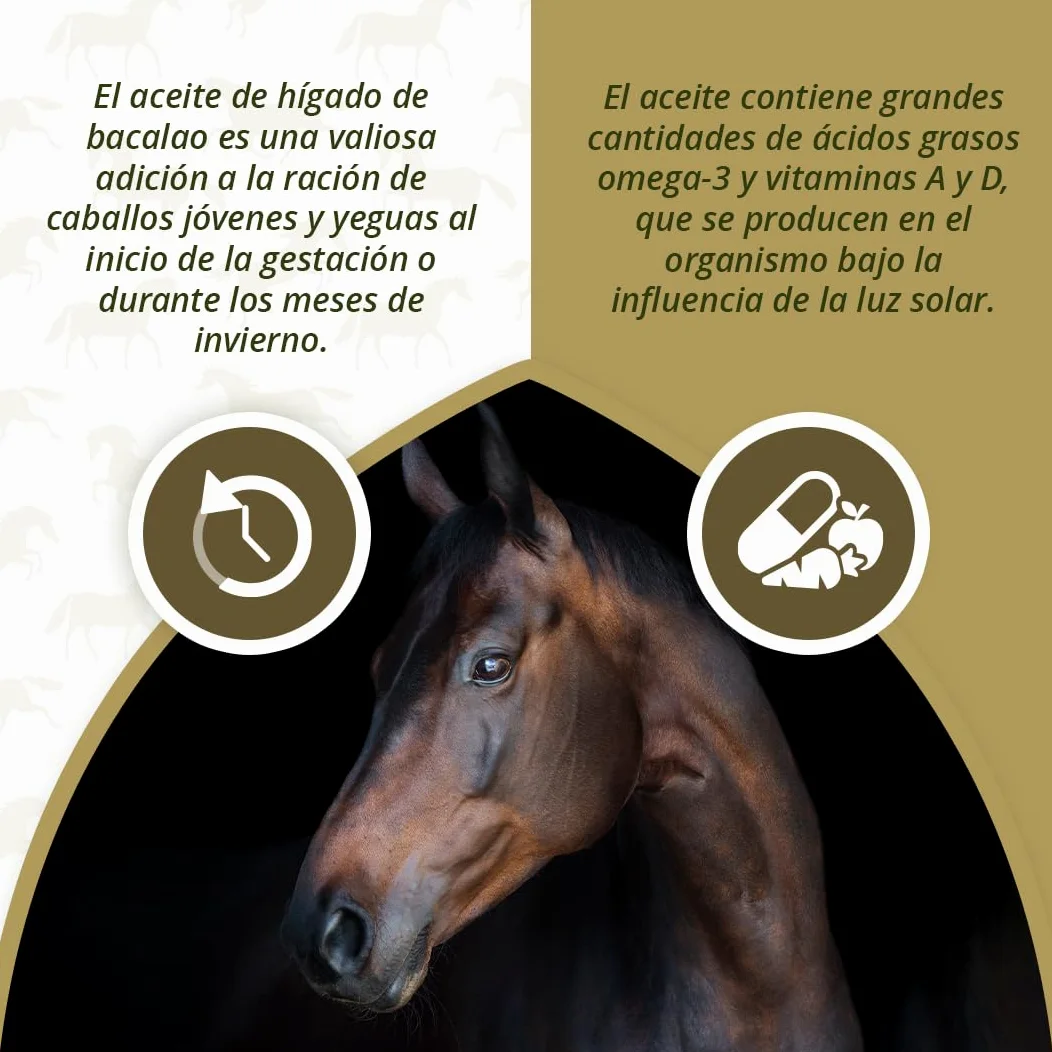 EXCELLENT Suministros Para El Cuidado De La Salud Aceite De Hígado