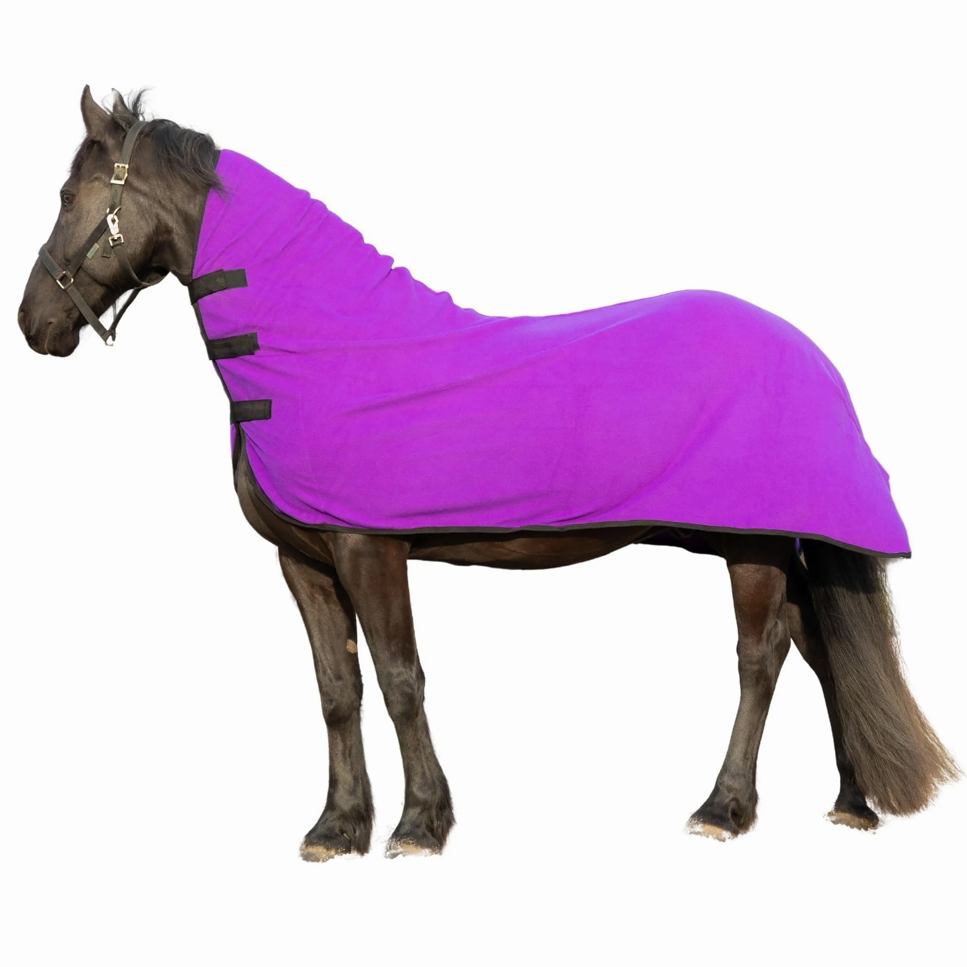 RESISTANCE Enfriador de contorno de forro polar suave de larga duración y cálido para caballo (XL (80-82 pulgadas), morado