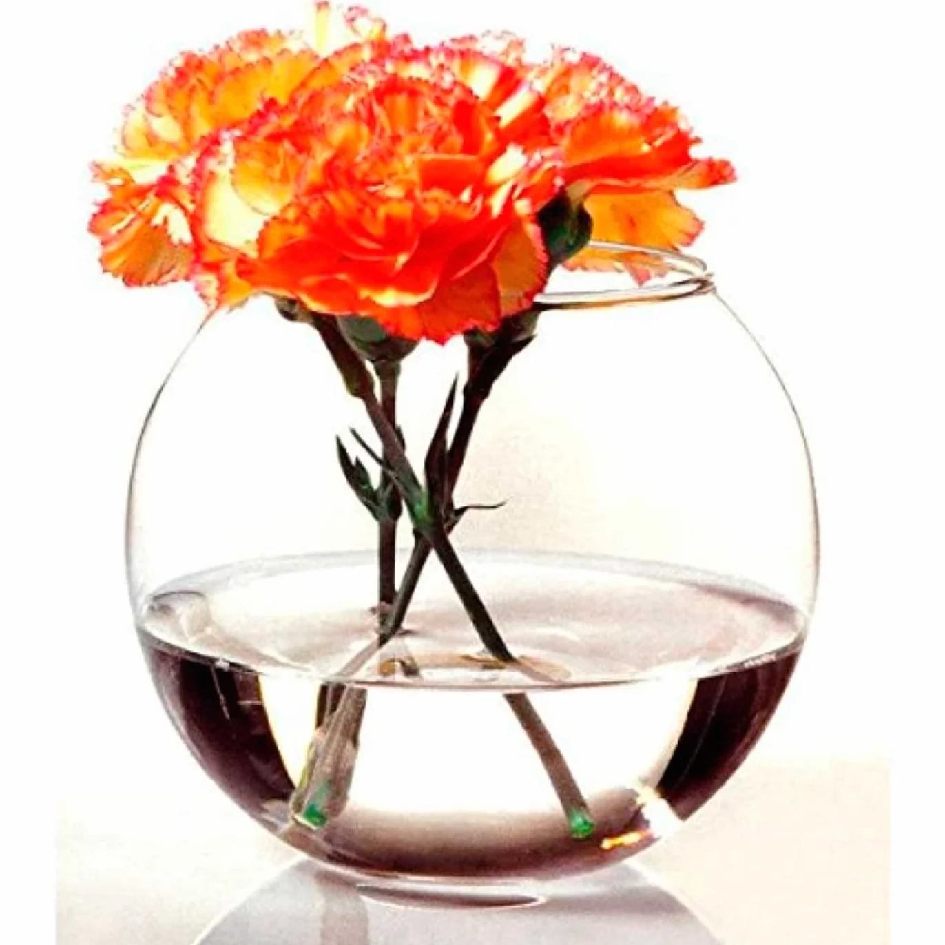 Acan Tradineur - Pecera Redonda de Cristal, Acuario esférico, Globo pequeño para Peces, Mascotas, decoración de Interior, hogar (Transparente, 20 x 16 cm)