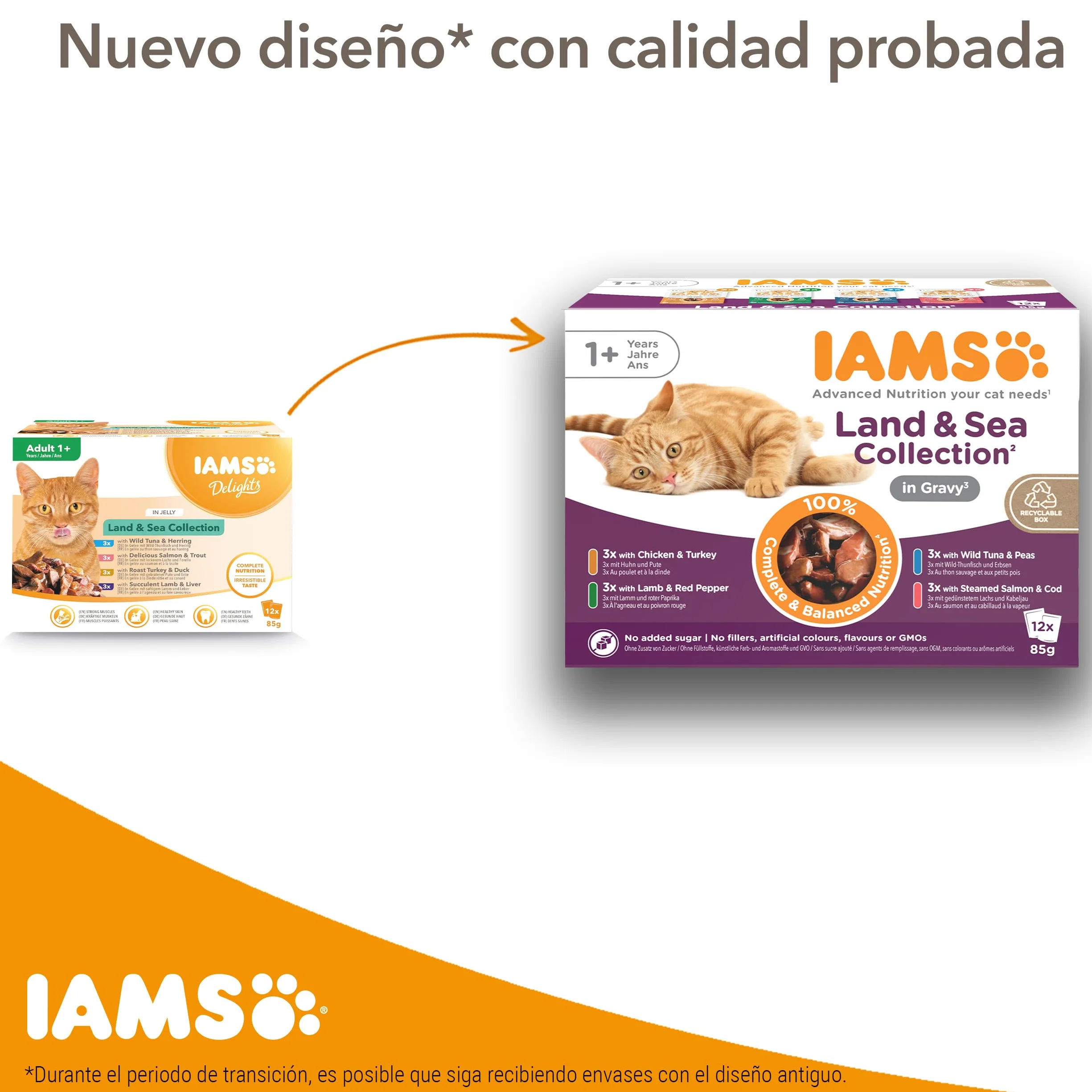 IAMS Advanced Nutrition Alimento húmedo en Salsa, para Gatitos con Pollo, 12 x 85g