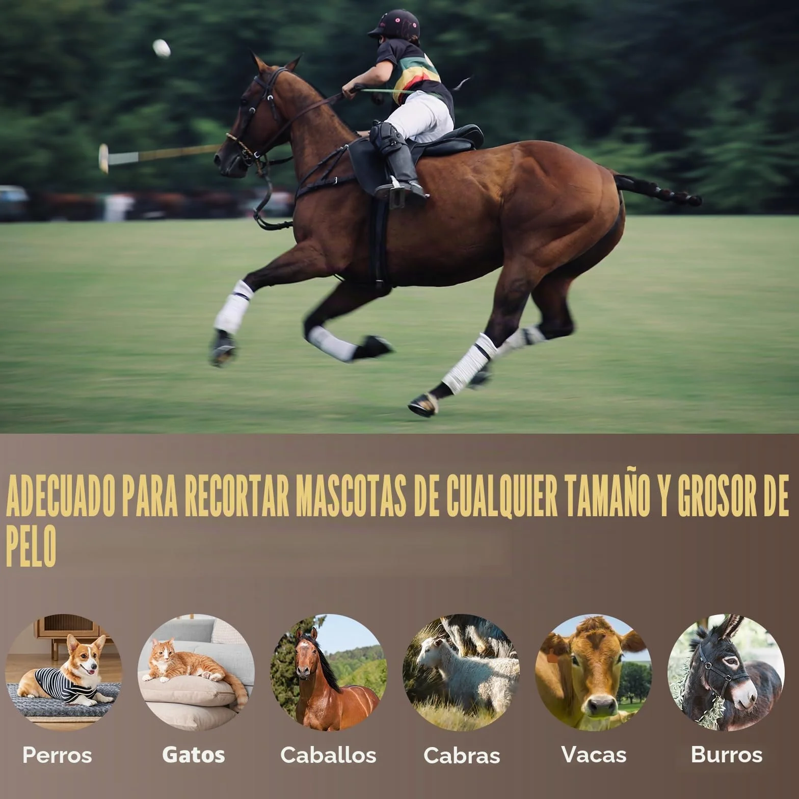 CGOLDENWALL Cortapelos para Caballo, Batería de Li-Ion 1400mAh & Cable de 3.5m para Uso Con/Sin Cable, 3200-4000rpm Ajuste de Velocidad, para Perro, Caballo, Cabra, Vaca y Animal de Pelo Grueso