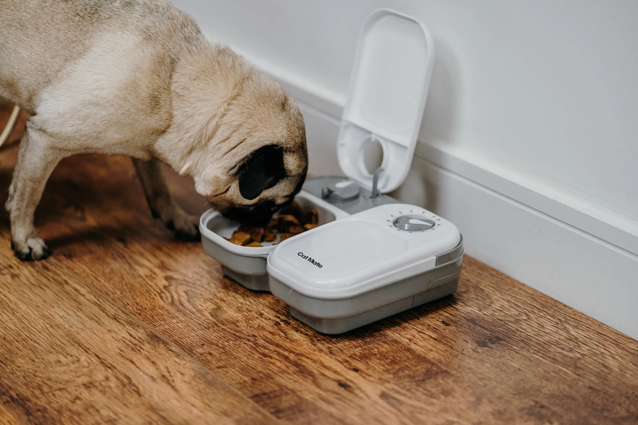 Cat Mate- Comedero automático para 2 Comidas (0,825 kg)