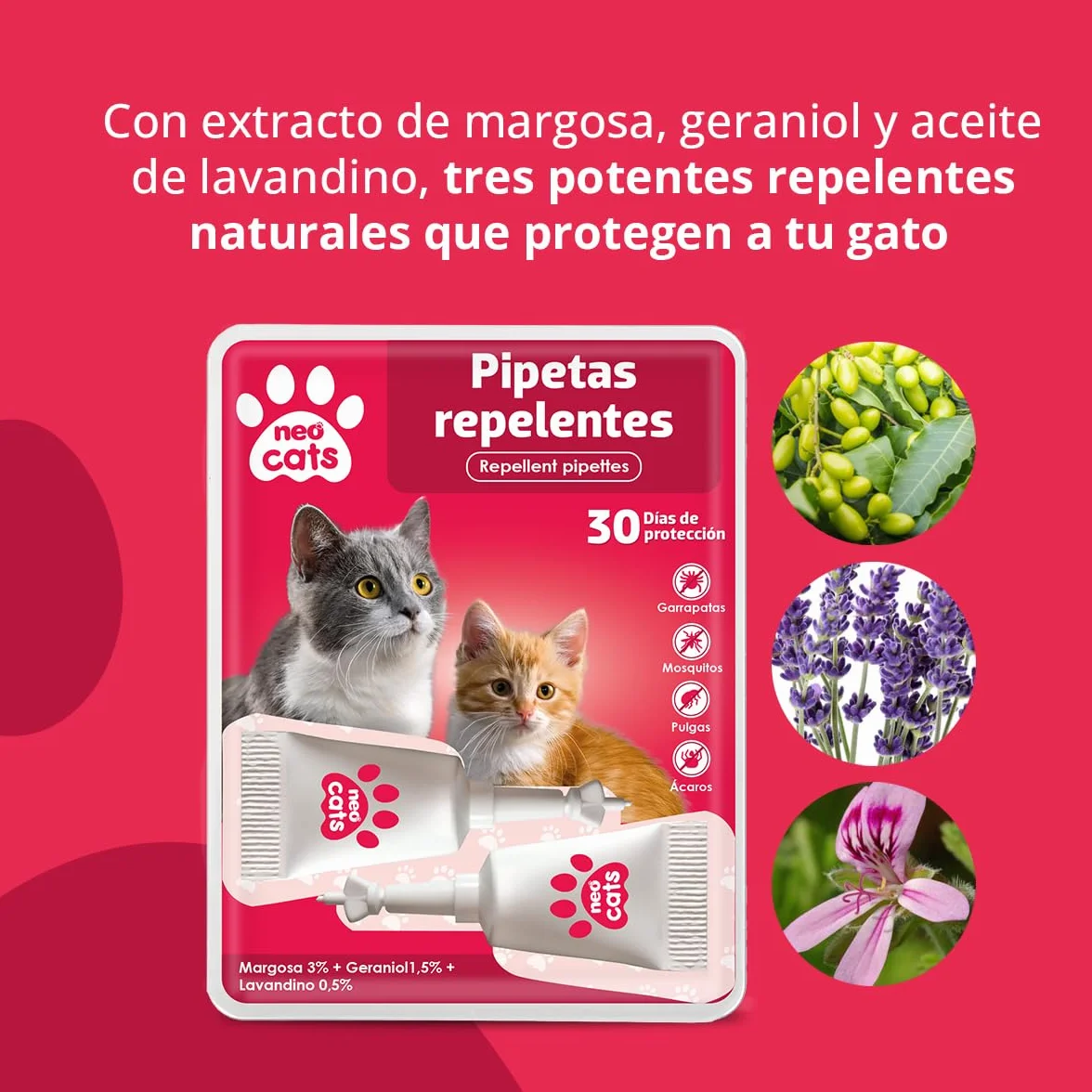 NEO CATS - Pipetas Repelente Anti-insectos para Gatos - Contra Pulgas, Garrapatas y Mosquitos - 30 días de Protección - Con Margosa, Geraniol y Lavandino - Olor Herbal - 2 unidades