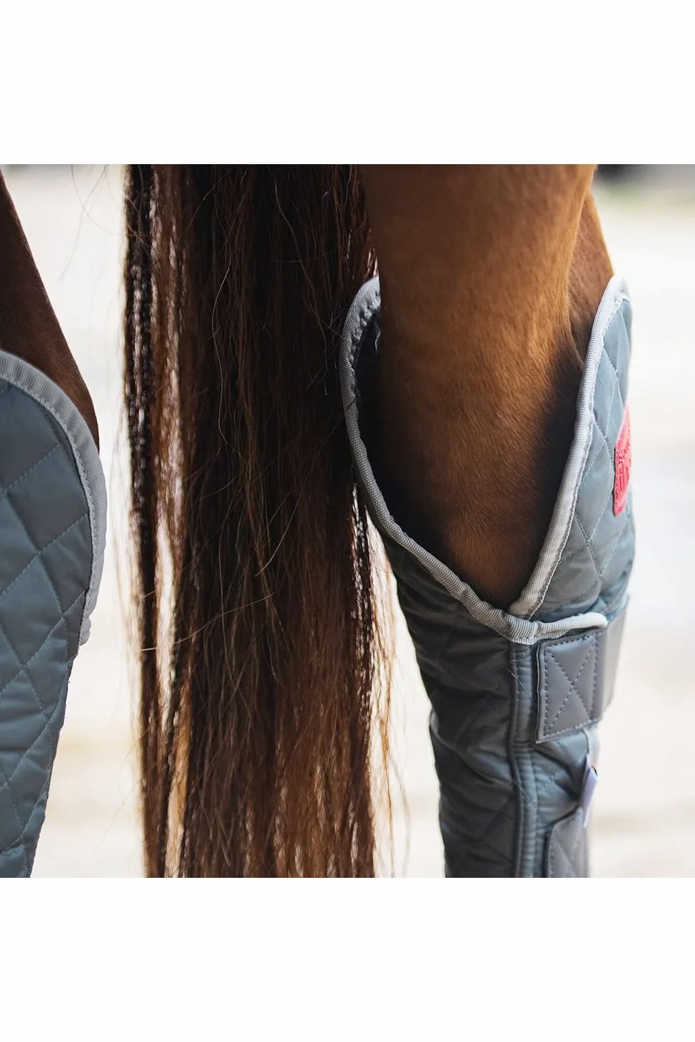 Equilibrium - Vendas para Caballos Hind & Hock Diseño Magnético (XL) (Gris)