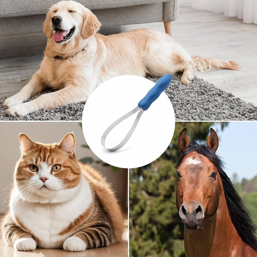 Peine de Curry Doble Cara de Acero Inoxidable, para Eliminar Barro y Pelo Suelto en Mascotas y Caballos, con Mango Ergonómico