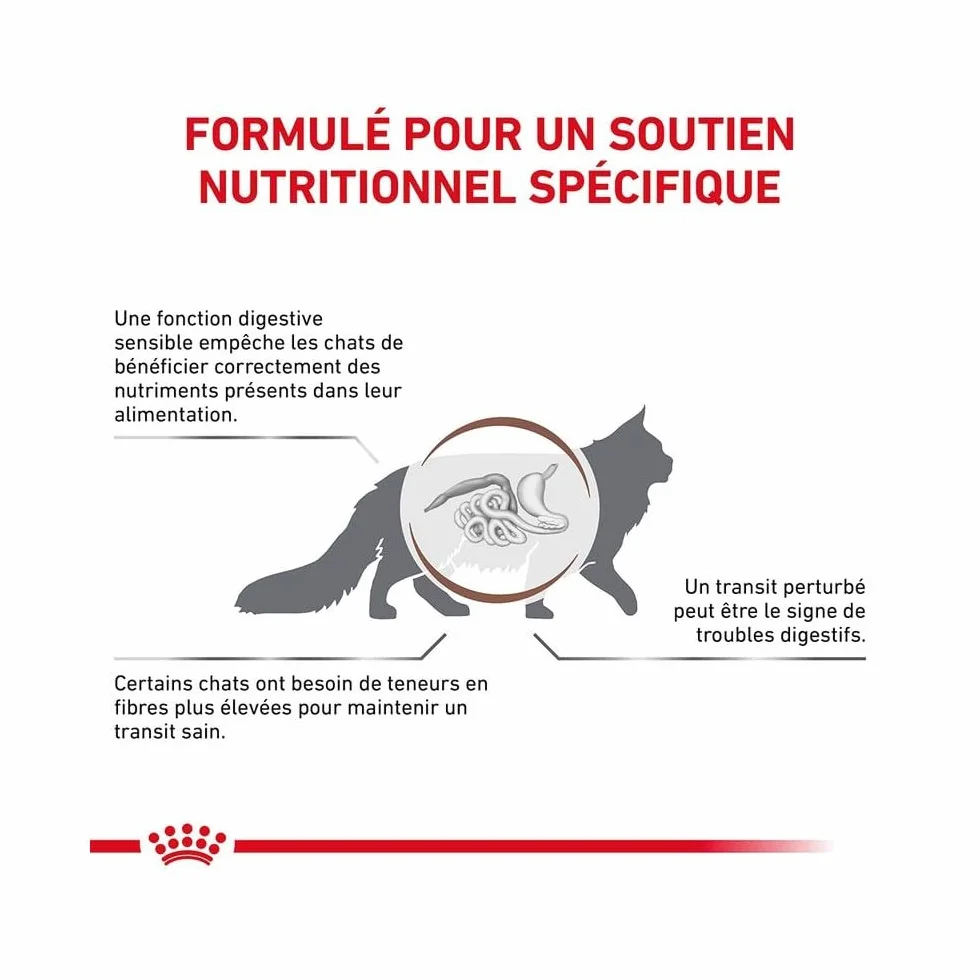 Royal Canin Gastro Intestinal Fibre Response | 12 x 85 g | Alimento dietético Completo para Gatos Adultos | para Gatos con estreñimiento crónico o Problemas gastrointestinales similares