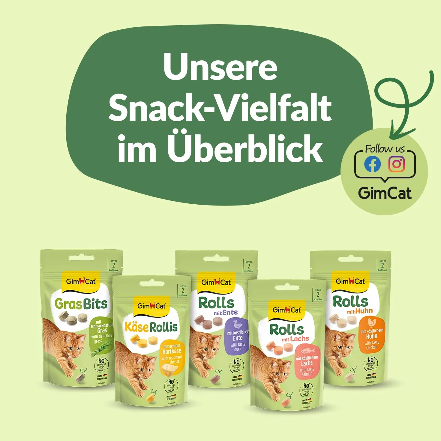 GimCat Hierba bits - Bocadillo para Gatos sin Cereales y Rico en vitaminas con Hierba Real - 1 Bolsa (1 x 425 g)