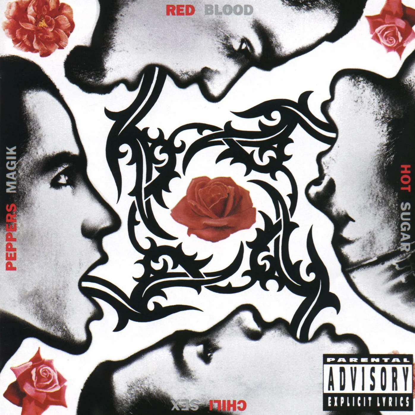 Blood Sugar Sex Magik explicit lyrics