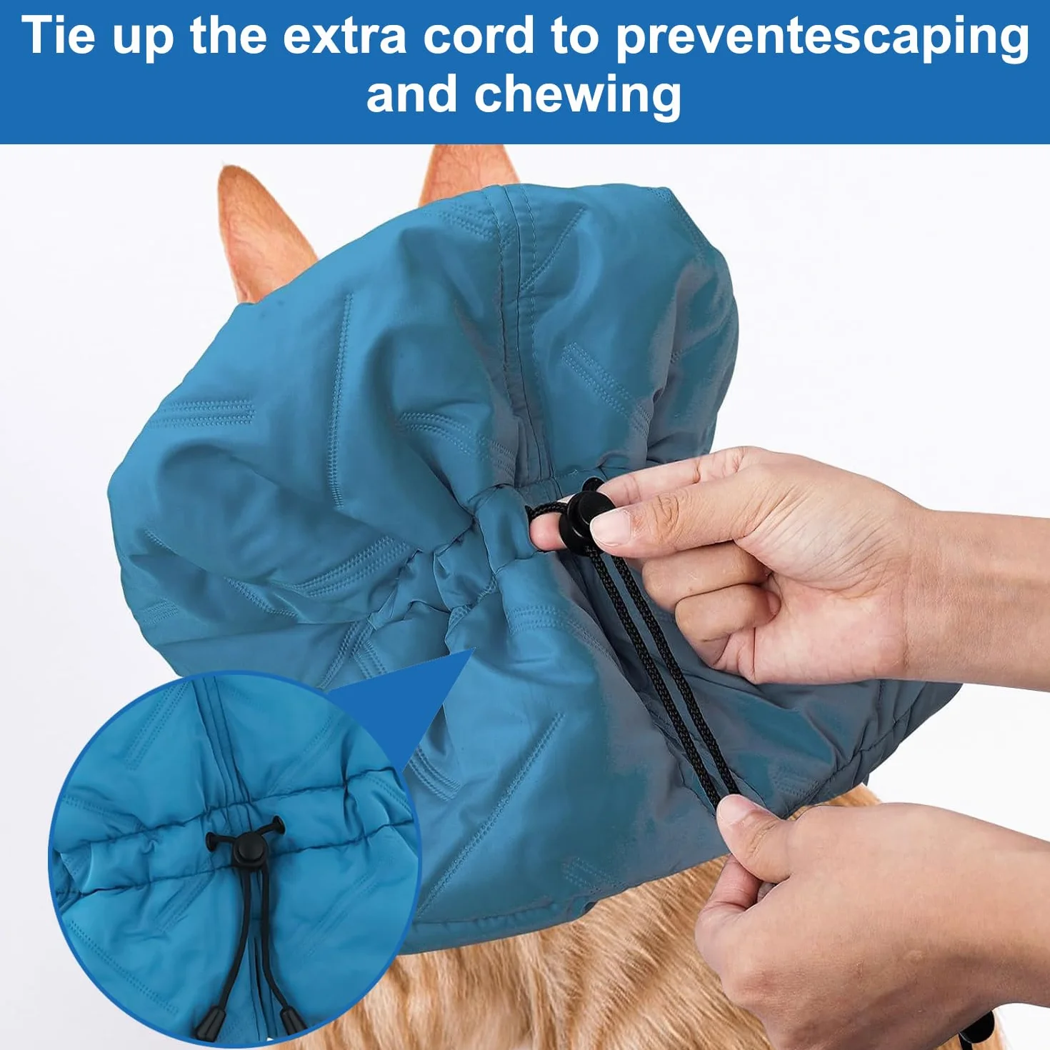 Collar de Recuperación para Gatos, Suave Ajustable Isabelino Protector, Evita Que se Laman - para Gatitos (Azul, S)