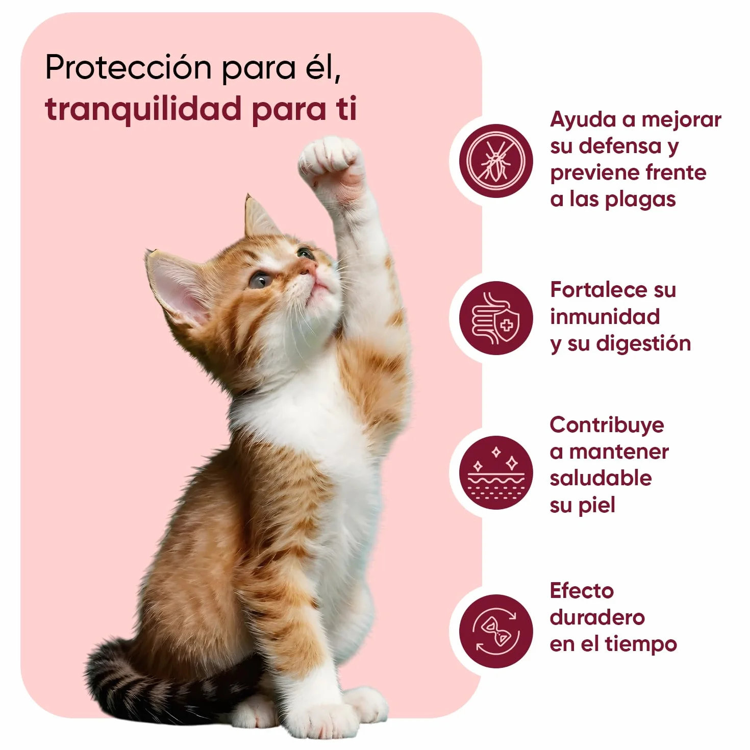 animigo Antiparasitario en Polvo para Gatos 100g Sabor Pollo - Protección Natural Antipulgas y Antigarrapatas Muy Fácil de Suministrar Formulado con Ingredientes Naturales, Vitaminas Grupo B y Zinc
