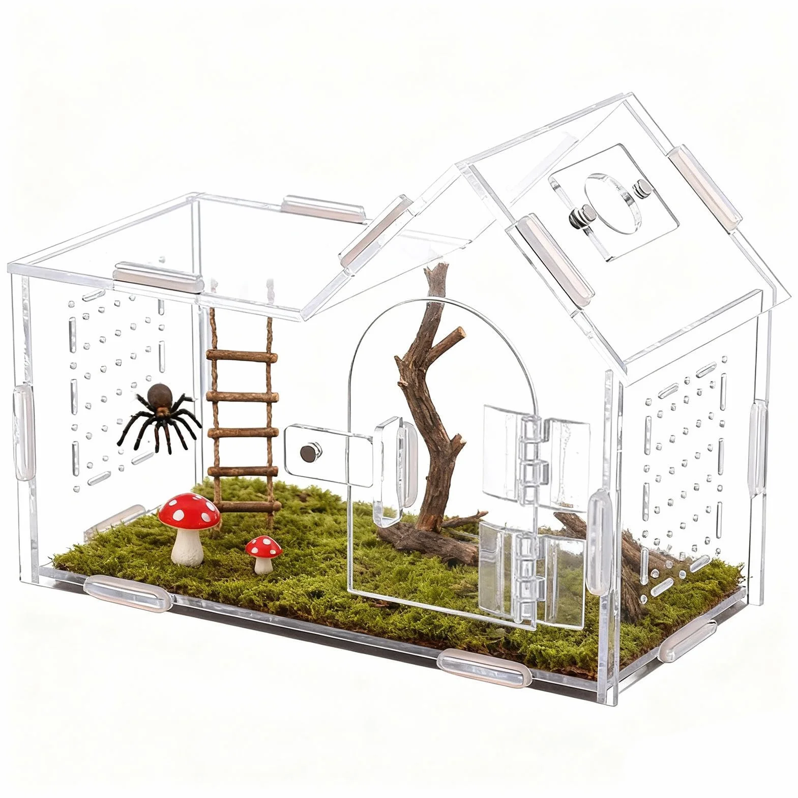 Recinto Spider - Terrario Acrílico con Puerta Magnética Y Ventilación | Casa de araña saltarina para Geckos, Ranas, lagartos, tarántulas y Mascotas arbóreas