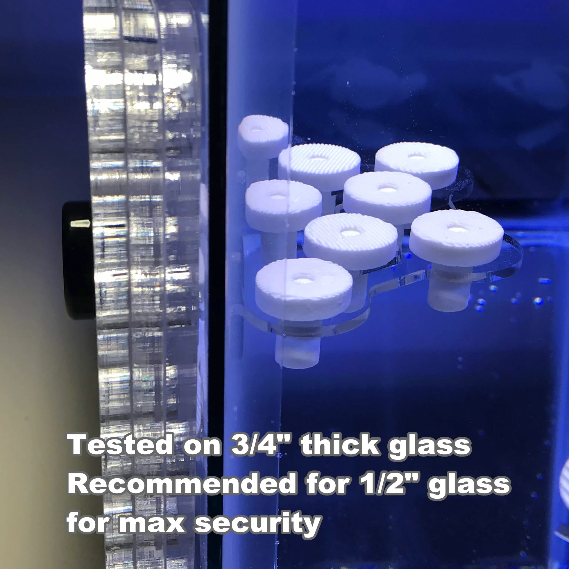 8 tapones Coral Frag Rack (juego de uno)