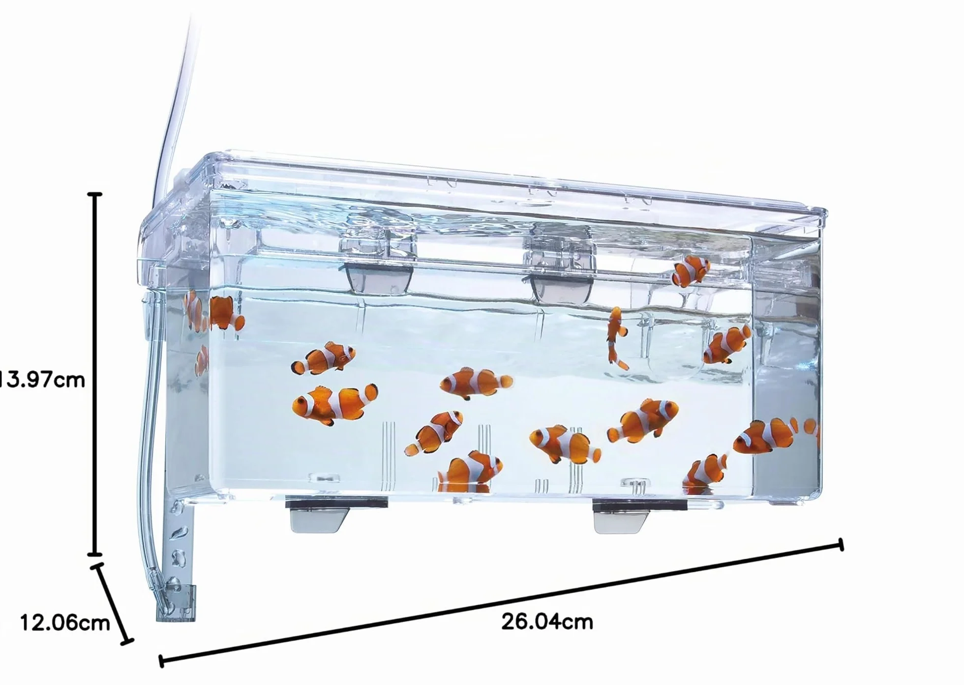 Fluval, Caja de Cría, 1,9 L