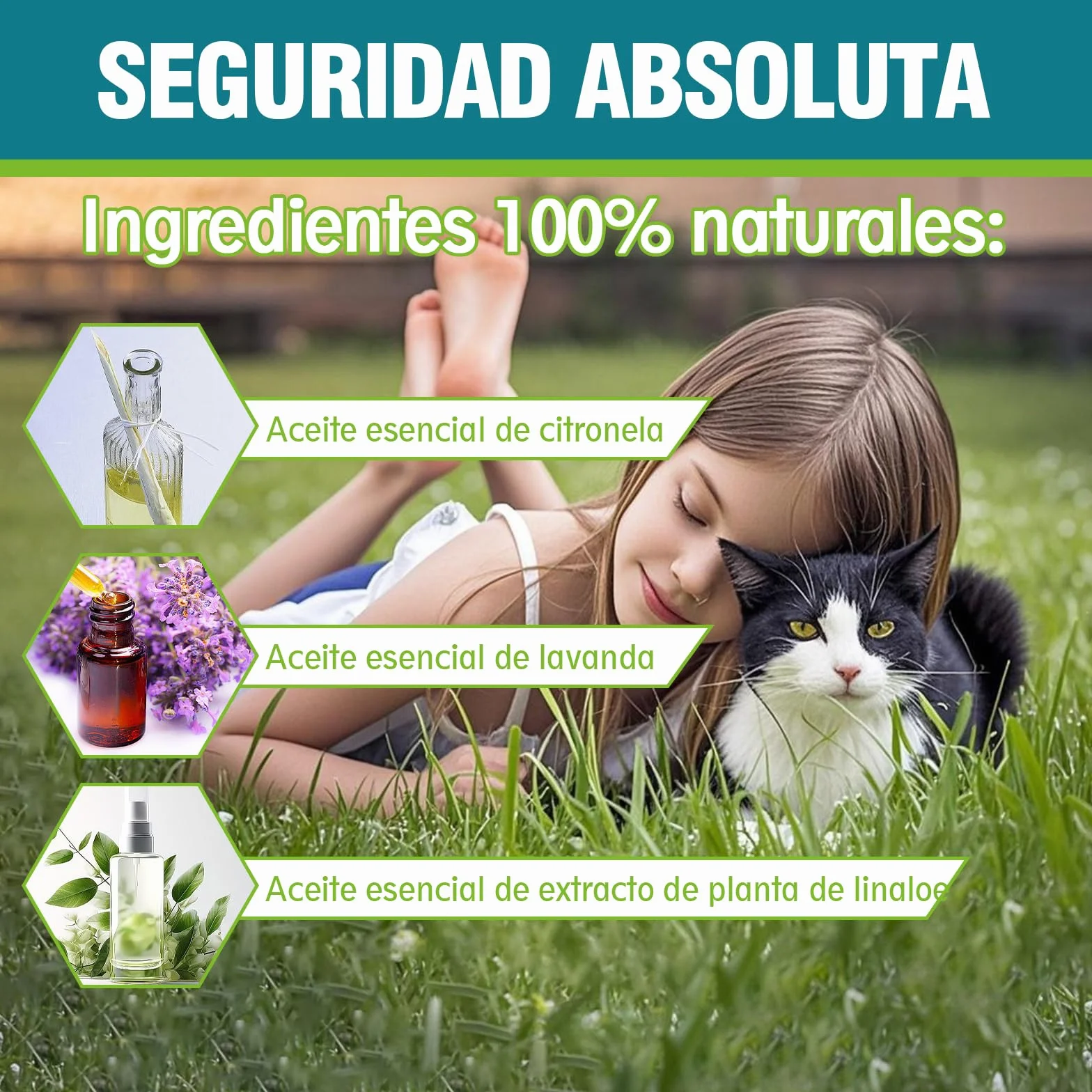 Collar Antiparasitario para Gatos, Collar Antipulgas y Garrapatas Ajustable, Gregado con Aceites Naturales, Impermeable, Apto para Todos Los Gatos,10 Meses de Protección
