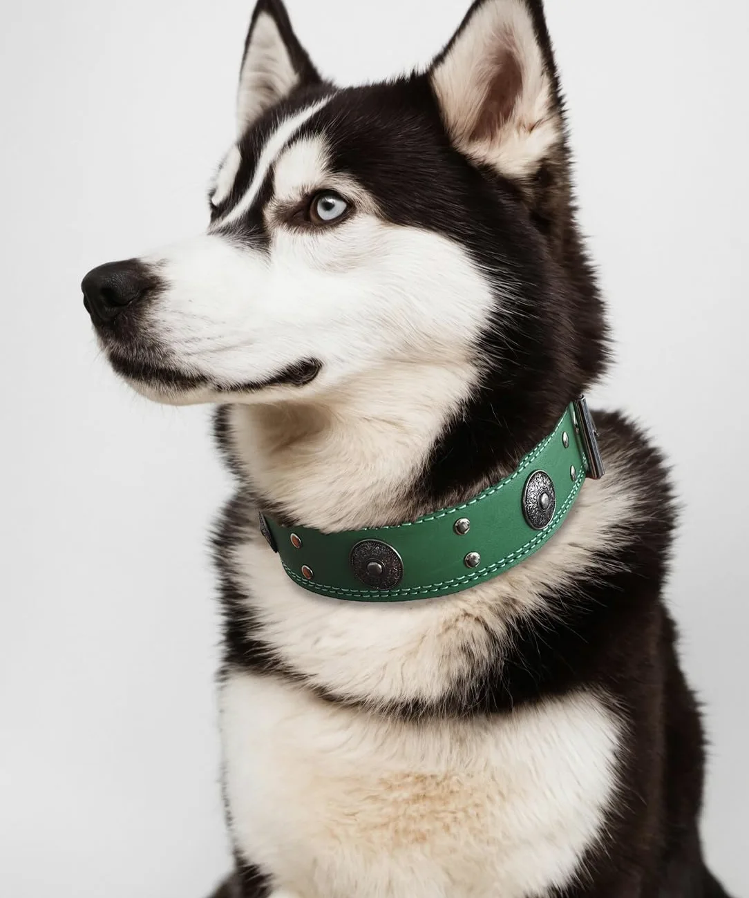 Collar de Cuero para Perro, Collares de Cuero Genuino Resistente de 5 cm de Ancho, Hecho a Mano, Suave y Lujoso, la Mejor opción para Perros de Raza Grande y Media, Color Verde, 22.5-26.5 Pulgadas