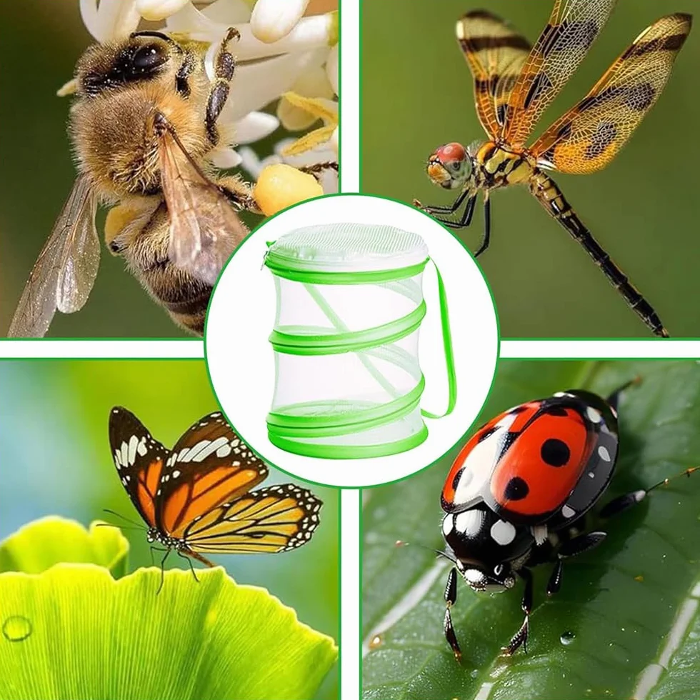 Jaula Plegable para Mariposas, Valla para Insectos, diseño portátil, Captura de Insectos, educación científica, Red de cría para Mariposas/luciérnagas/Plantas