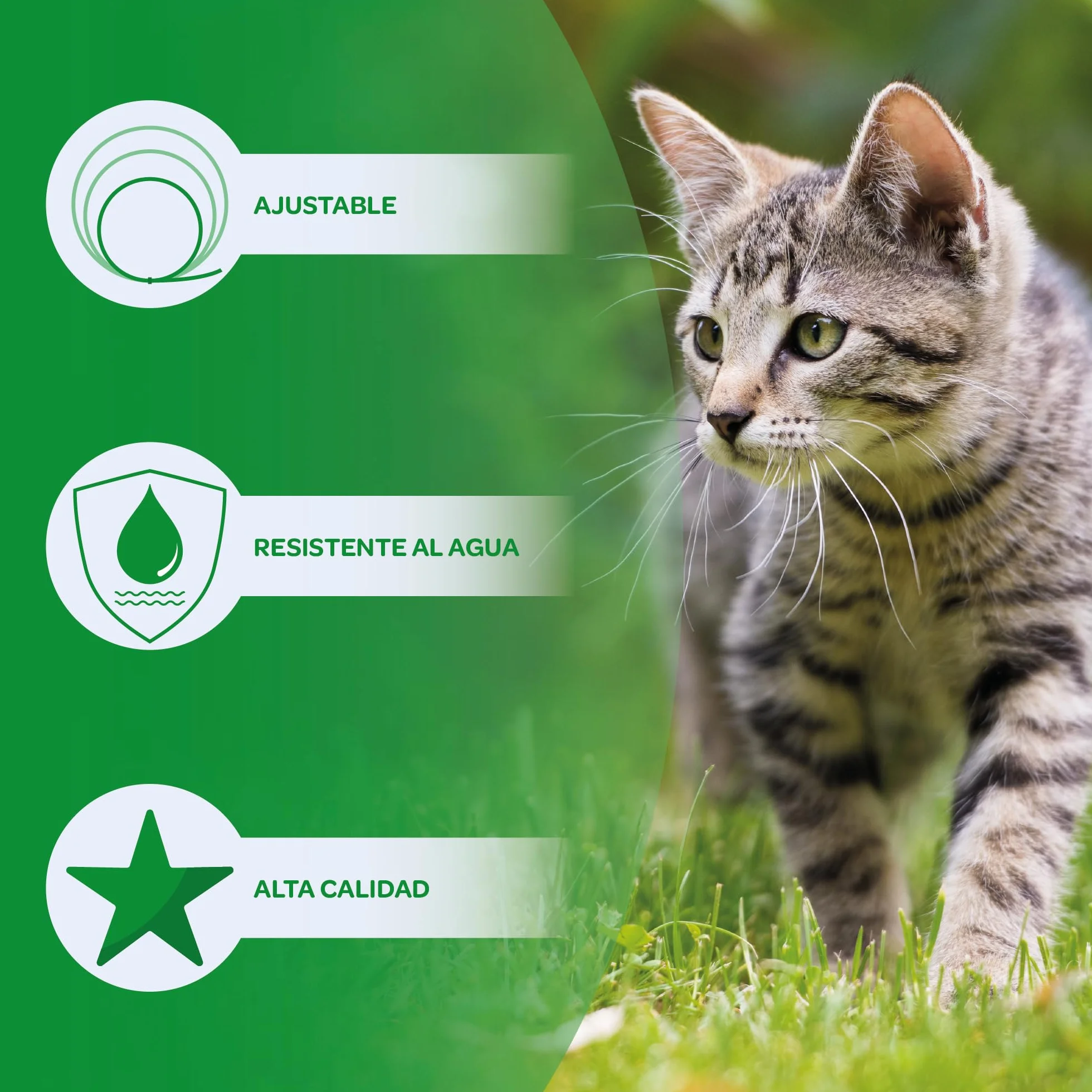 Collar Antiparasitario para Gato en, 8 Meses de Protección, Eficaz contra Pulgas, Garrapatas, Mosquitos y Piojos, Resistente al Agua, 38 cm de Largo, Ajustable (Amarillo)