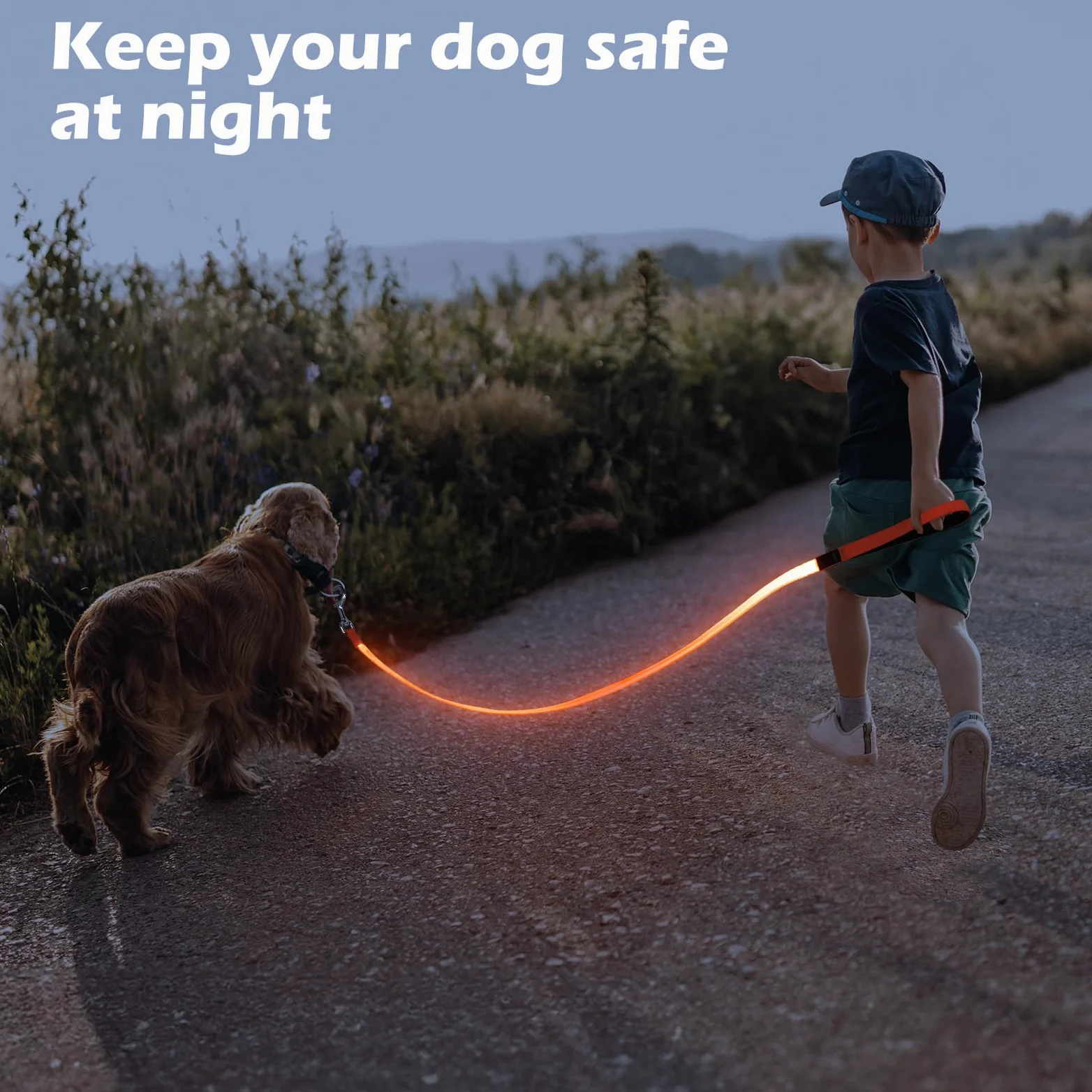 Correa LED para perro, correa de nailon recargable micro USB, correa de seguridad estándar para perros de 4 pies (naranja)