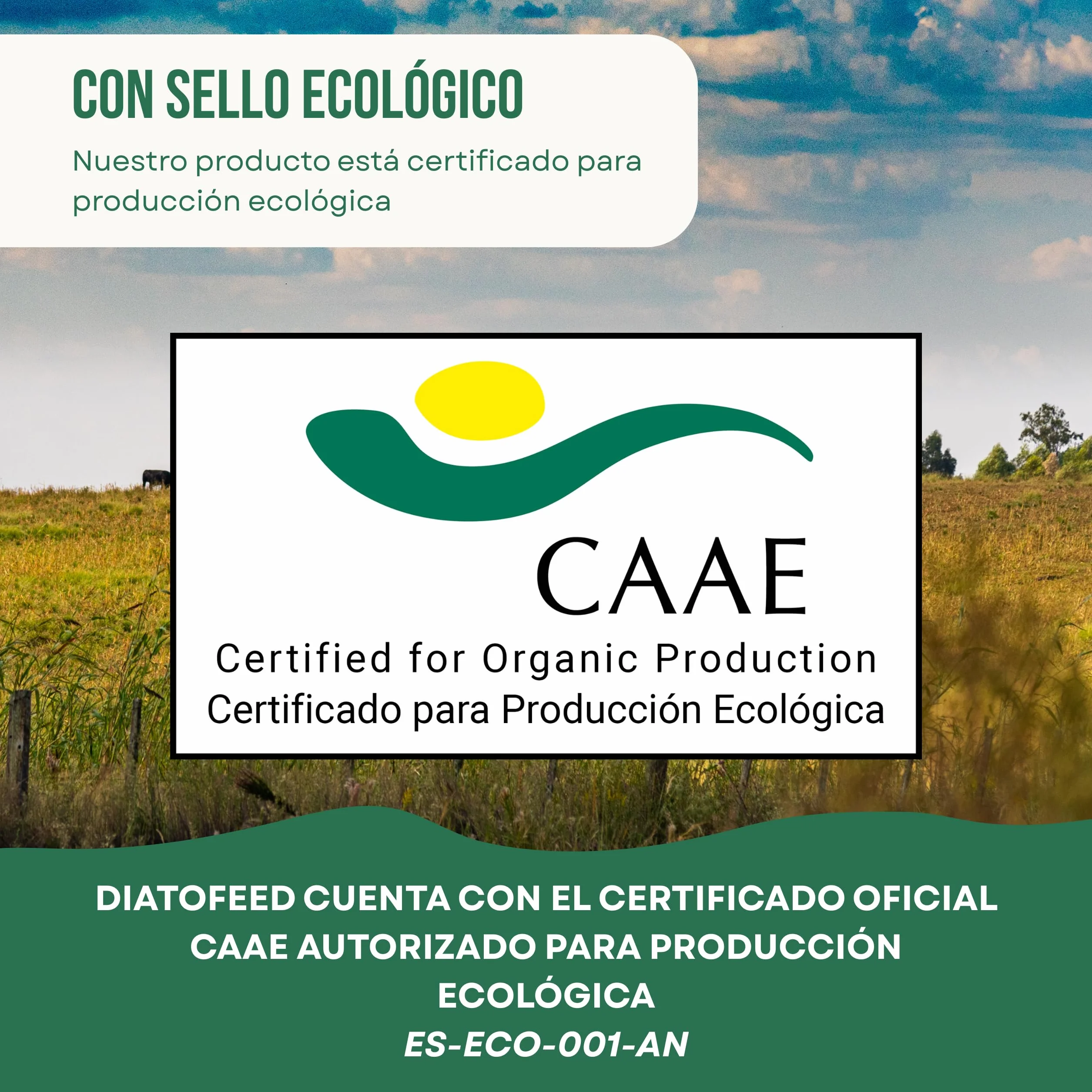 ECO Tierra de Diatomeas® Micronizada 5kg+1kg – Complemento mineral a base de Tierra de Diatomeas, Sin Calcinar, para Alimentación Animal – Seguridad, Calidad y Compromiso desde 2015