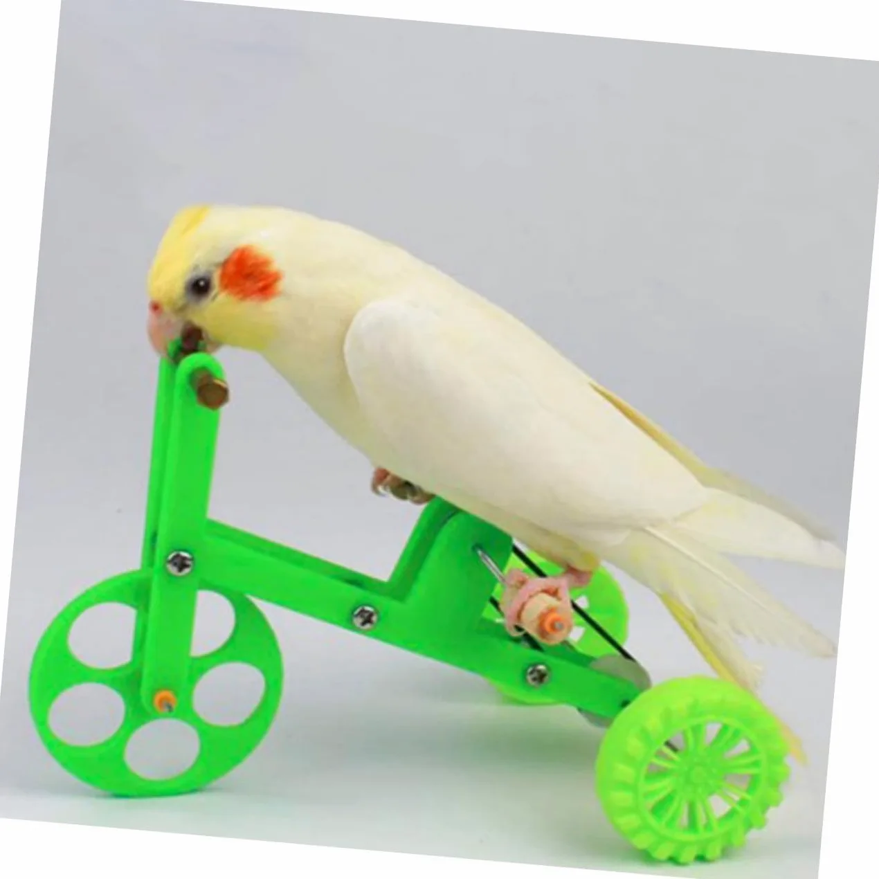 Beaupretty Anillo Loros 4 Juegos Bicicleta Loro Juguetes Educativos Xuan Feng El Plastico El Pájaro Juguetes Interactivos para Loros