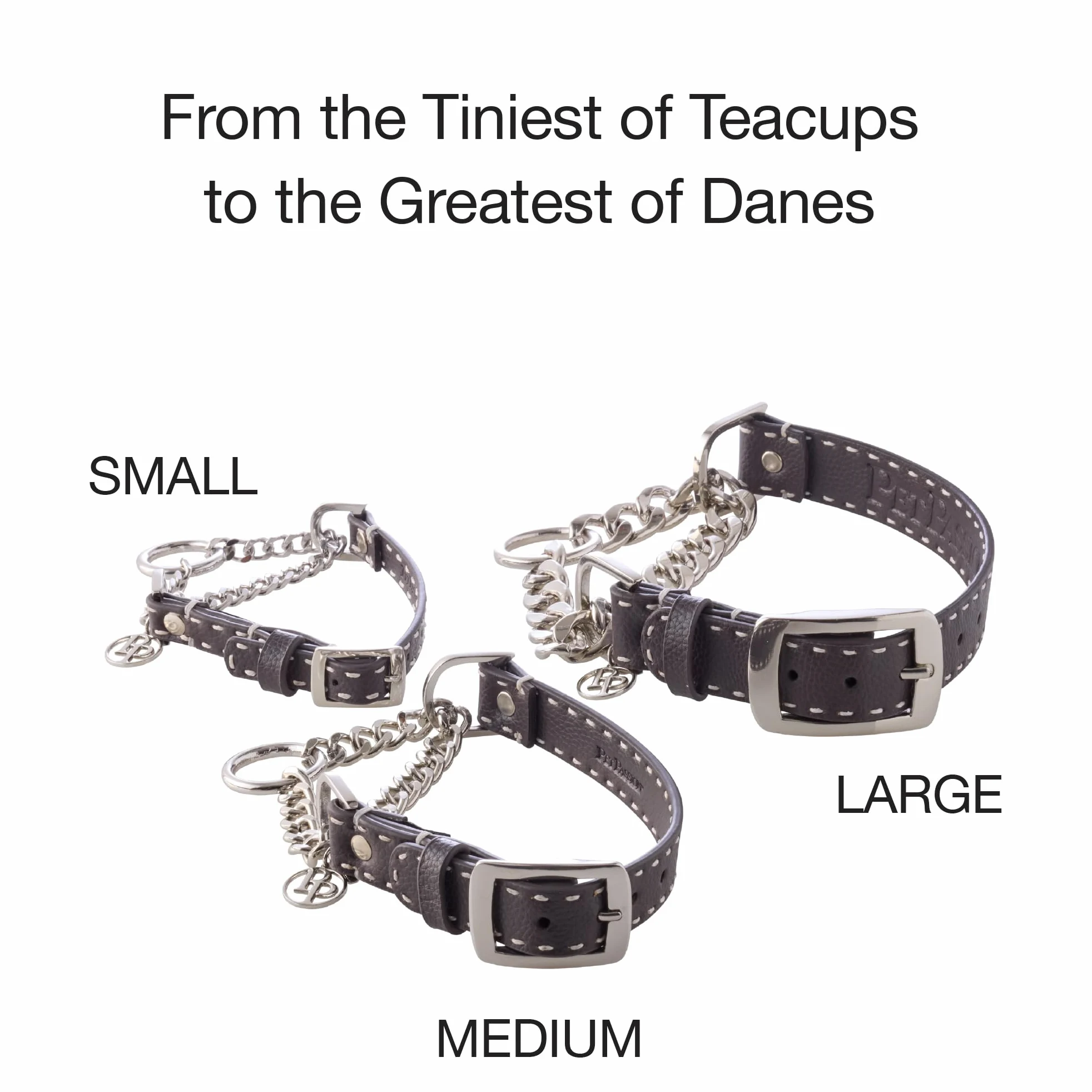 Pet Passion Rein - Collar Ajustable de Cuero Vegano Martingale sin tirones para Entrenamiento de Mascotas, para Cachorros, Perros pequeños, medianos y Grandes, Gris, Grande
