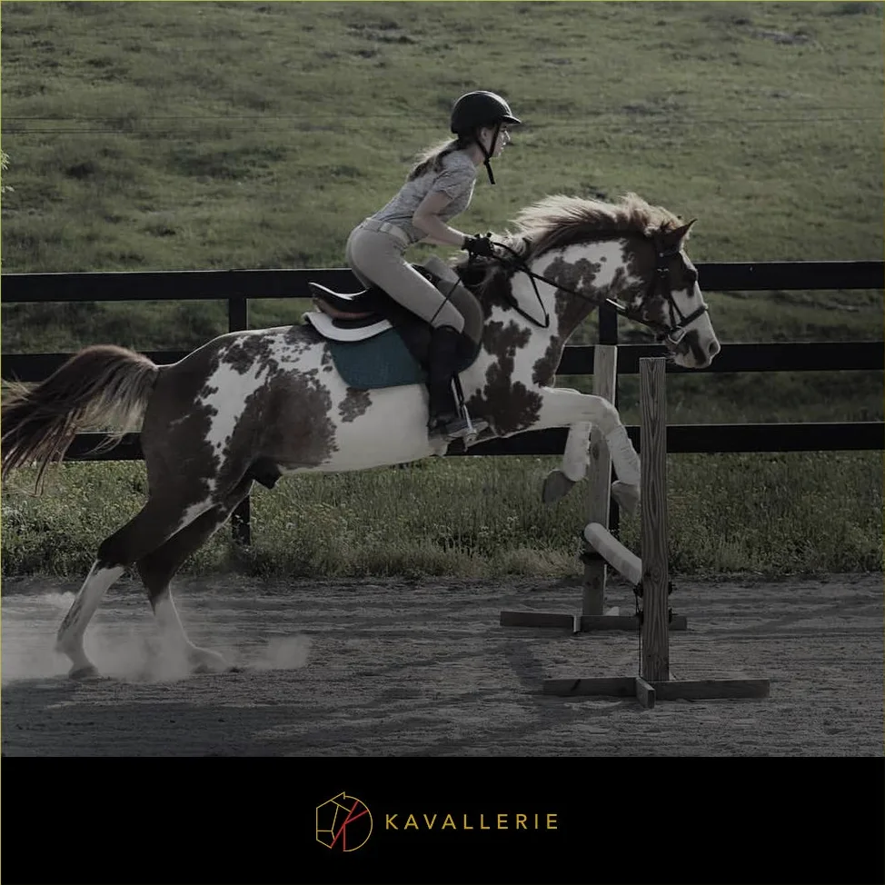 Kavallerie Pro-K - Botas de tendón de malla de aire 3D, protección contra impactos con carcasa exterior anatómica, material perforado por aire con forro suave y transpirable, botas de salto flexibles